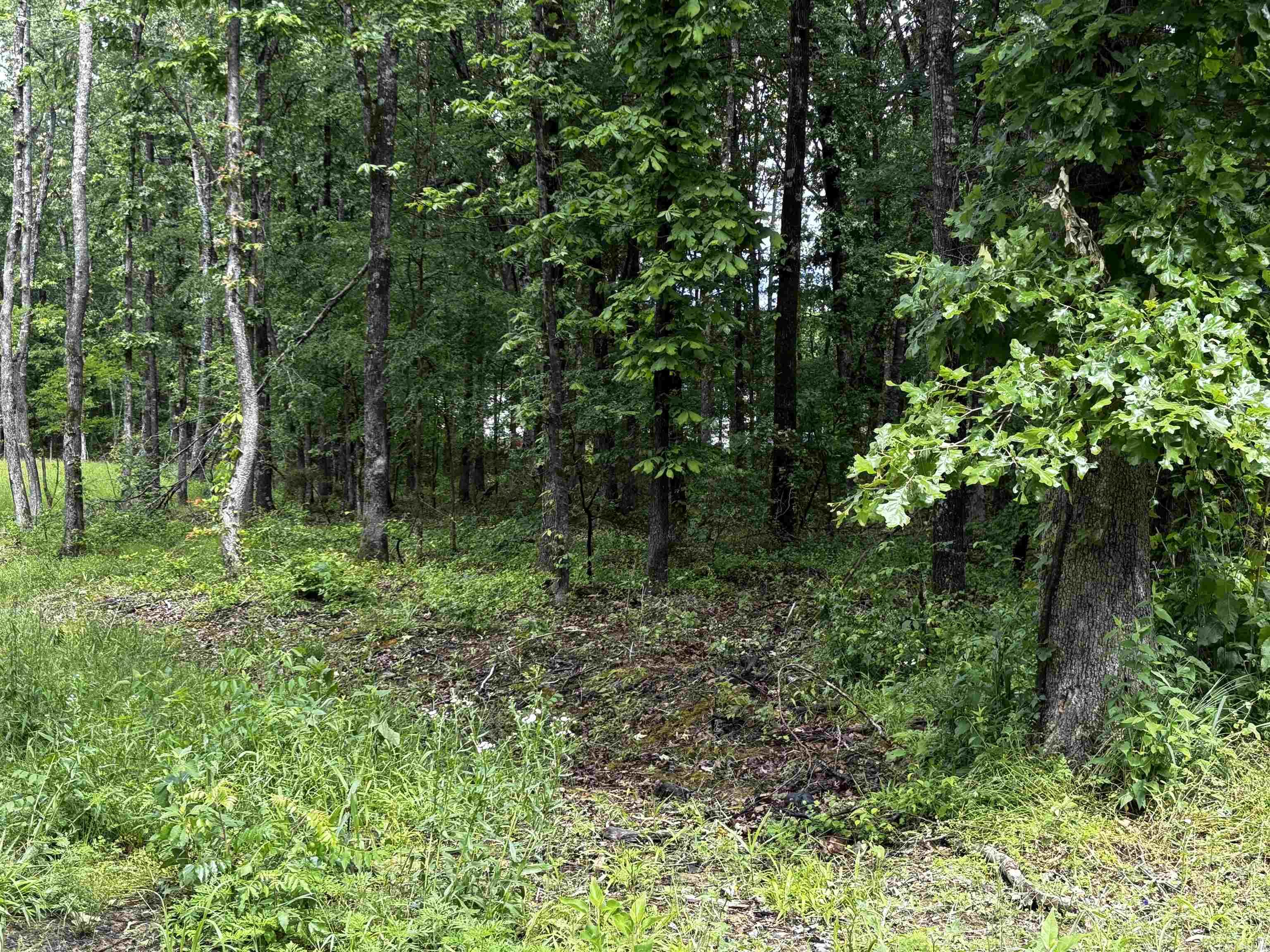 Not in Subdivision - Land