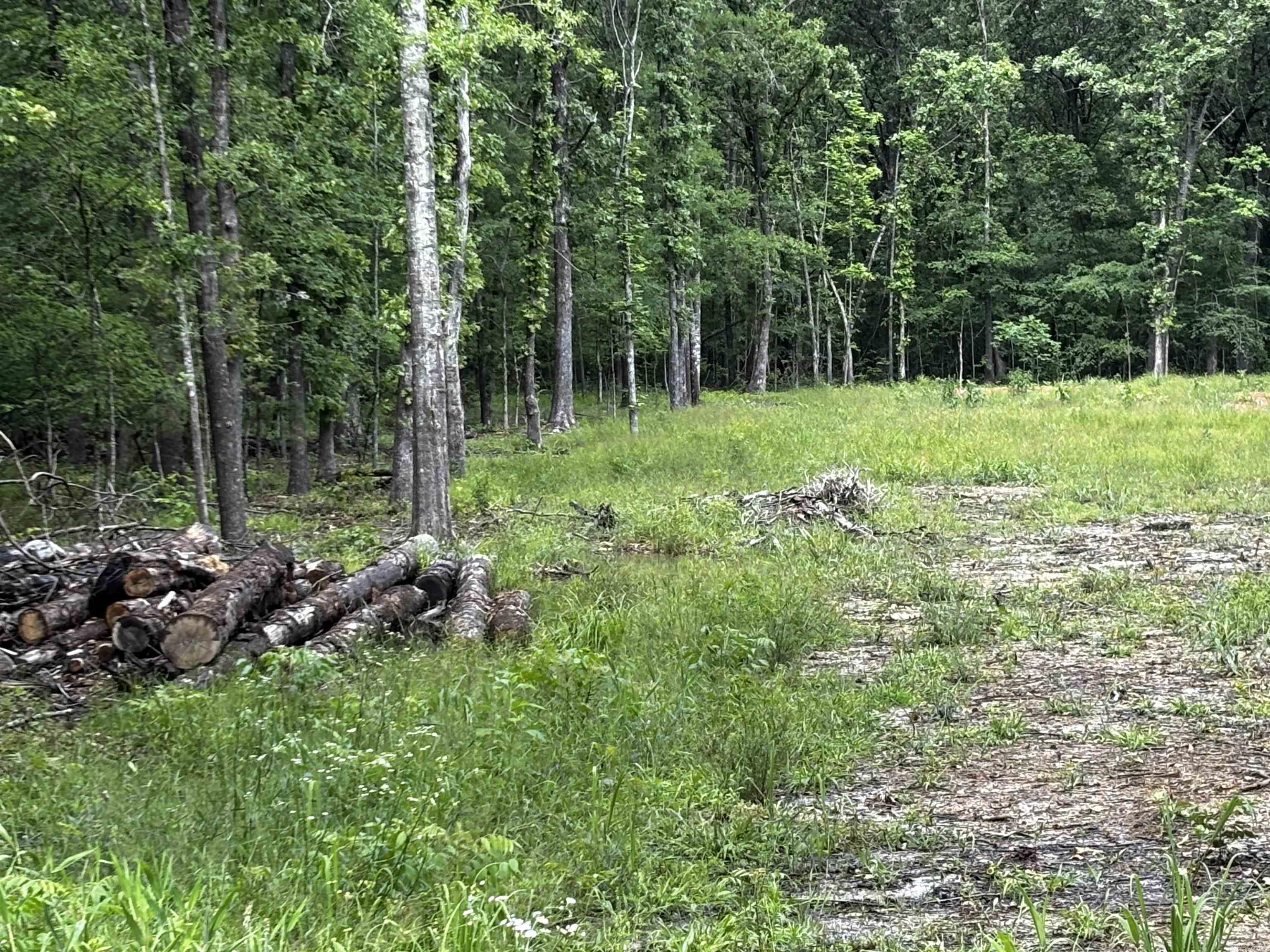 Not in Subdivision - Land