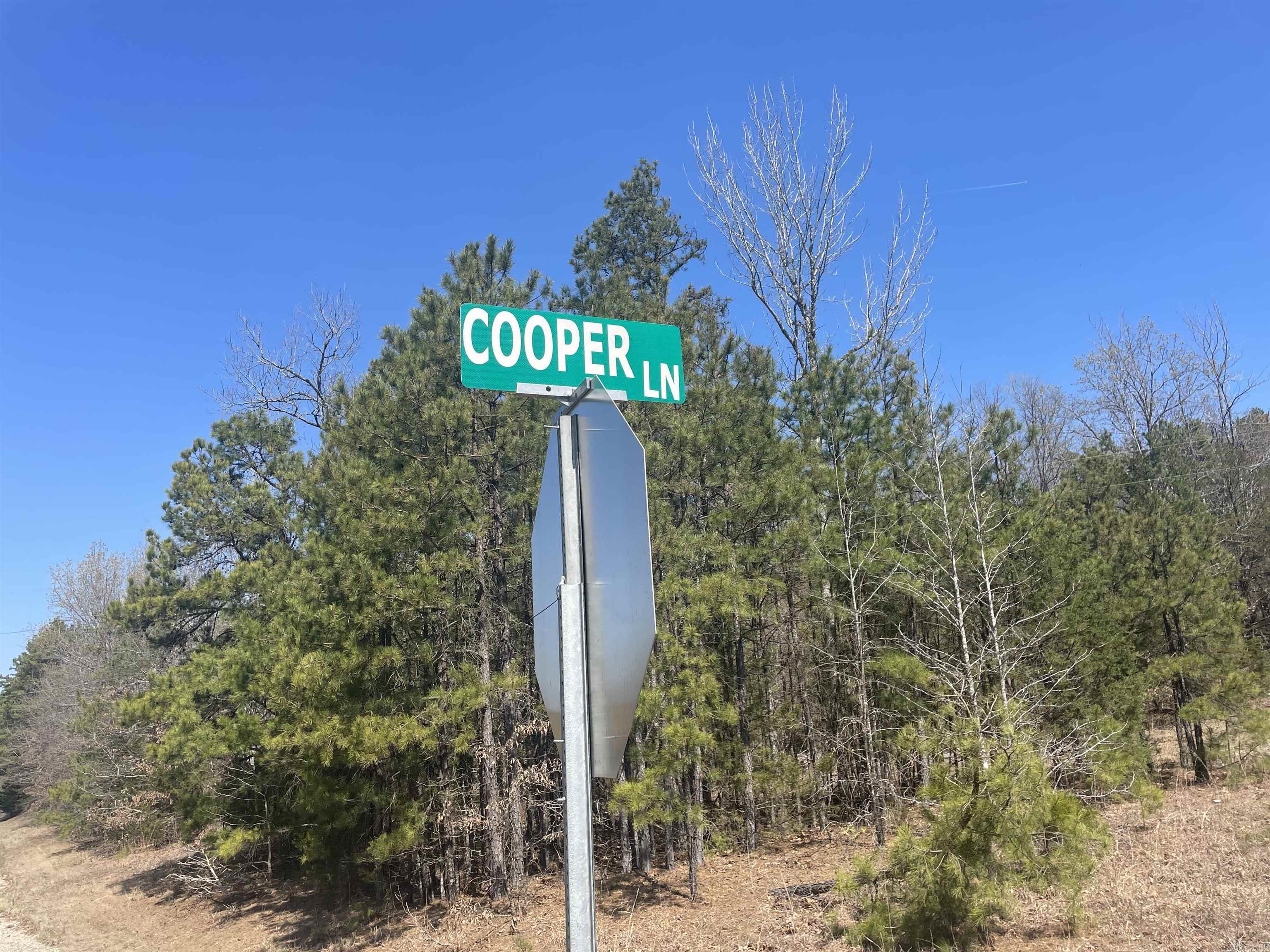 This versatile property offers a unique opportunity for timber investment, a private homestead on acreage, setting up a hunting camp or just enjoying nature on your own private acreage. This property is a rare find for those looking for affordable acreage, an abundance of wildlife and located close to plentiful water recreation opportunities...fishing, boating, skiing and swimming. Whether you're looking for a place to settle, hunt or escape for the weekend...this property has it all. Electricity and water are available at the road frontage. Mineral rights do not convey.
