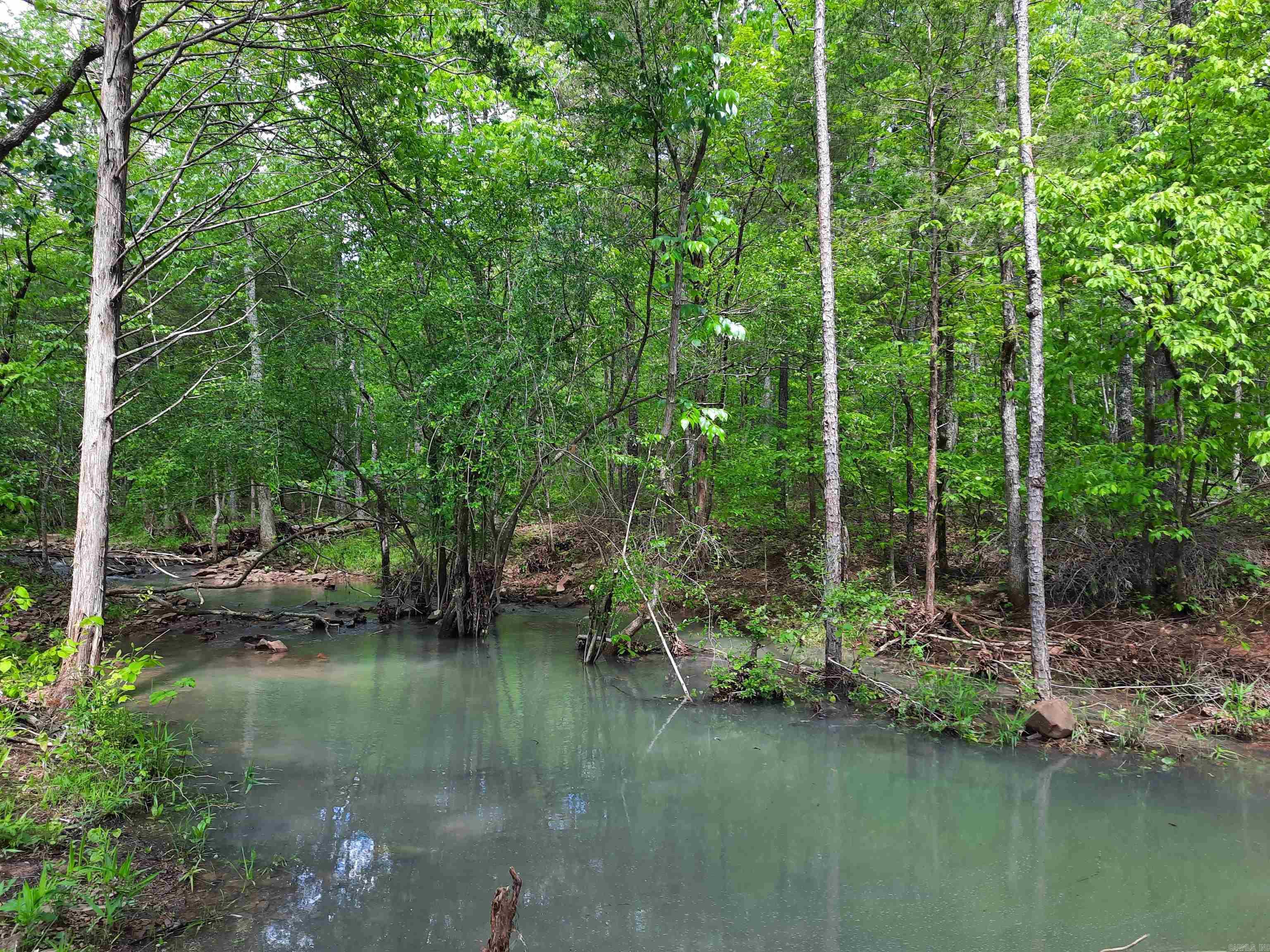 Here is your opportunity to own 10 nice wooded acres, with a private setting, and very pretty land. No restrictions, live on it, camp on it, hunt on it, just use use it as a get away and relax.