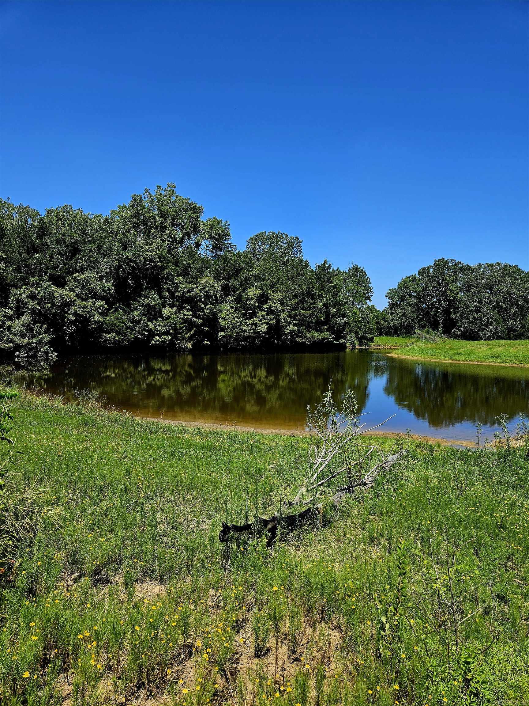 Beautiful building spot for your new home, 10+/- acres to be determined by new survey,Nice pond, mostly open Pasture land,with some wooded area, more land available. 10 minutes outside Greenwood AR in the award winning Greenwood school district. Public water at the road, septic needed