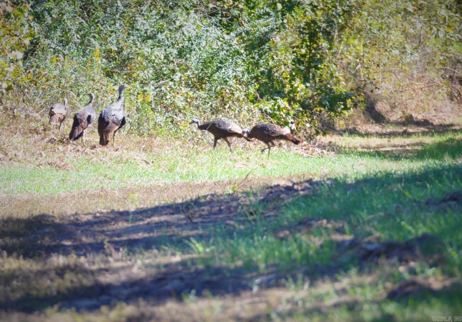 Metes & Bounds - Land