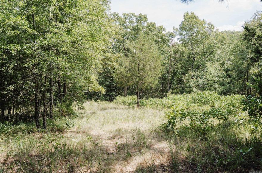 This property is nestled in a perfect rural setting just outside of Hector and a short drive to Russellville or Atkins Arkansas. Property features approximately 3.84 wooded acres, with electric and water available at the road. This tract would make a great build site!