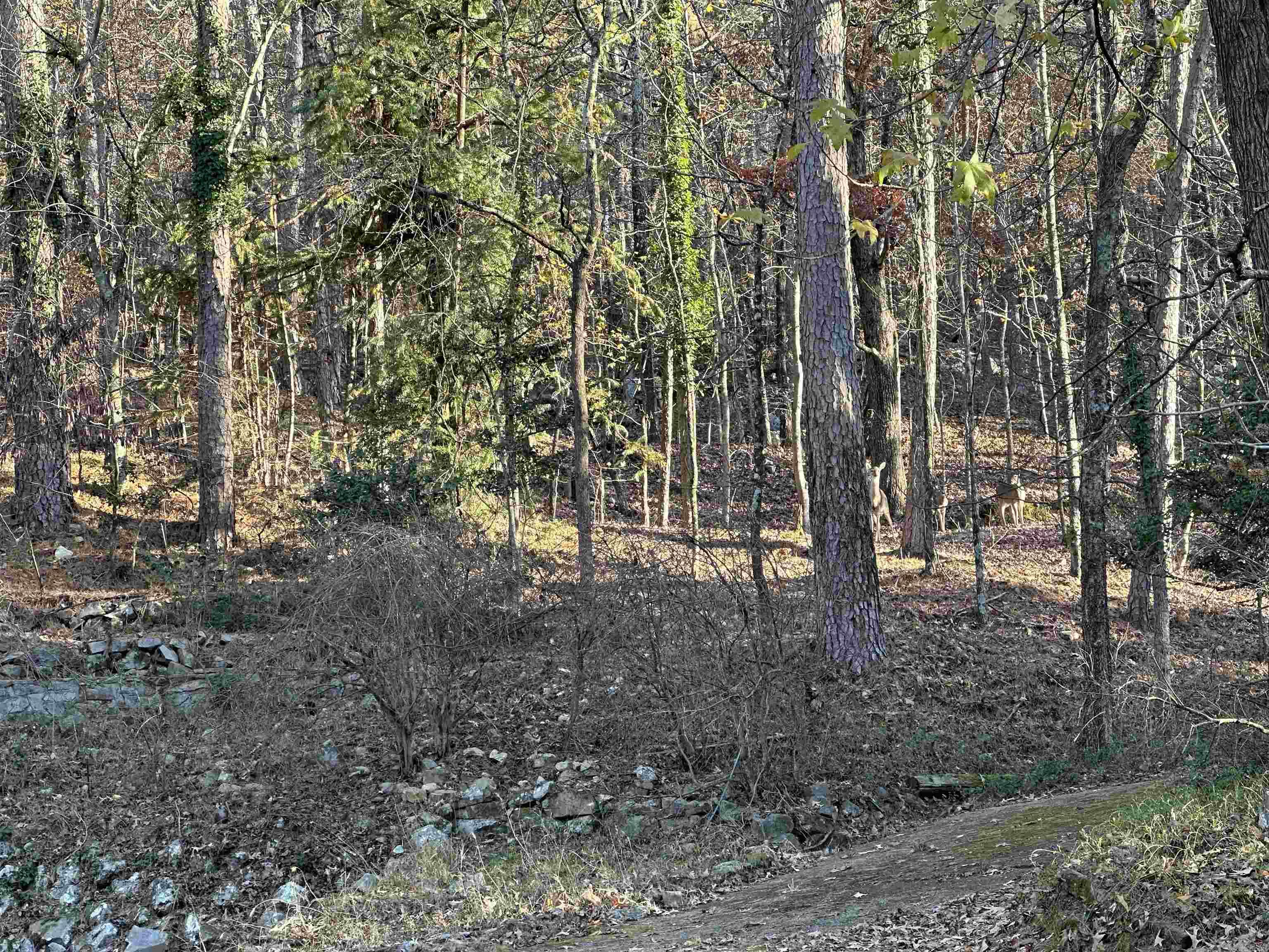 HSR BLK - Residential