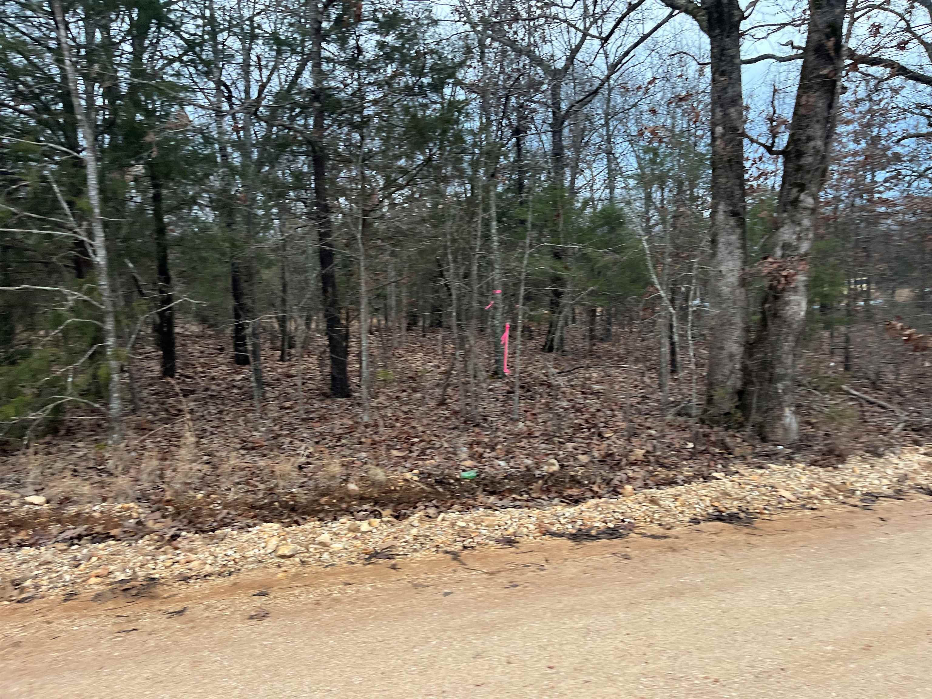 MCFADDEN ADNN BLUFFS - Land