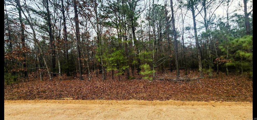 Looking for a beautiful Country Lot for your new home?  This is your chance.  Mature hardwoods and quiet living.  Some utilities available. No Restrictions!  Give me a call today!