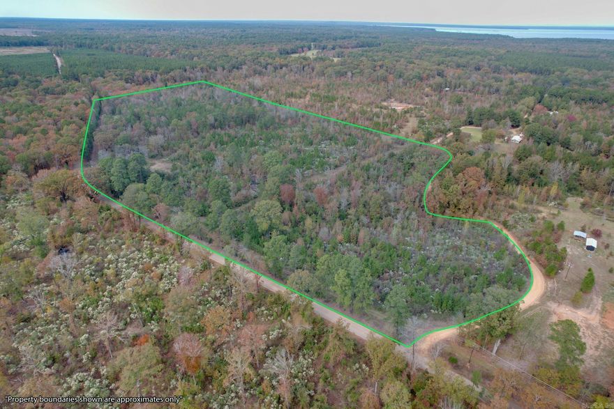 A beautiful 26.11 acre property that has great potential to be your next home site or place of recreation. Located near the Little River and Millwood Lake, the recreational opportunities are endless. It is located just 15 minutes from Ashdown, AR and only 34 minutes to Texarkana, TX. Powerlines are located at the county maintained frontage road and the property has easy access to HWY AR-32. An old septic and water well can also be found on the property.  ready for the new owner to enjoy, whether that be for recreation, hunting or a home build site. No restrictions! GPS Location: 33.652, -93.9763