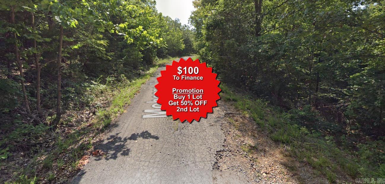 Buy one lot and get 50% off an additional lot! Owner-finance for easy terms. Cash buyers can pay by debit or credit card as well. Nice lot to develop or hold for future value. Public water and electric are available to run to property and will need septic. Owner/agent. No mobiles allowed. 300-2500 minimum build size on any other type of home, depending on subdivision. Finance is $100 down and 10 months at $99 and closing costs are included. Lots marked with red banner are part of promotion. No limit on lots. Buyer responsible for any/all taxes and lots sold "as-is". Quit claim deed conveys. Parcel ID# 335-18708-000