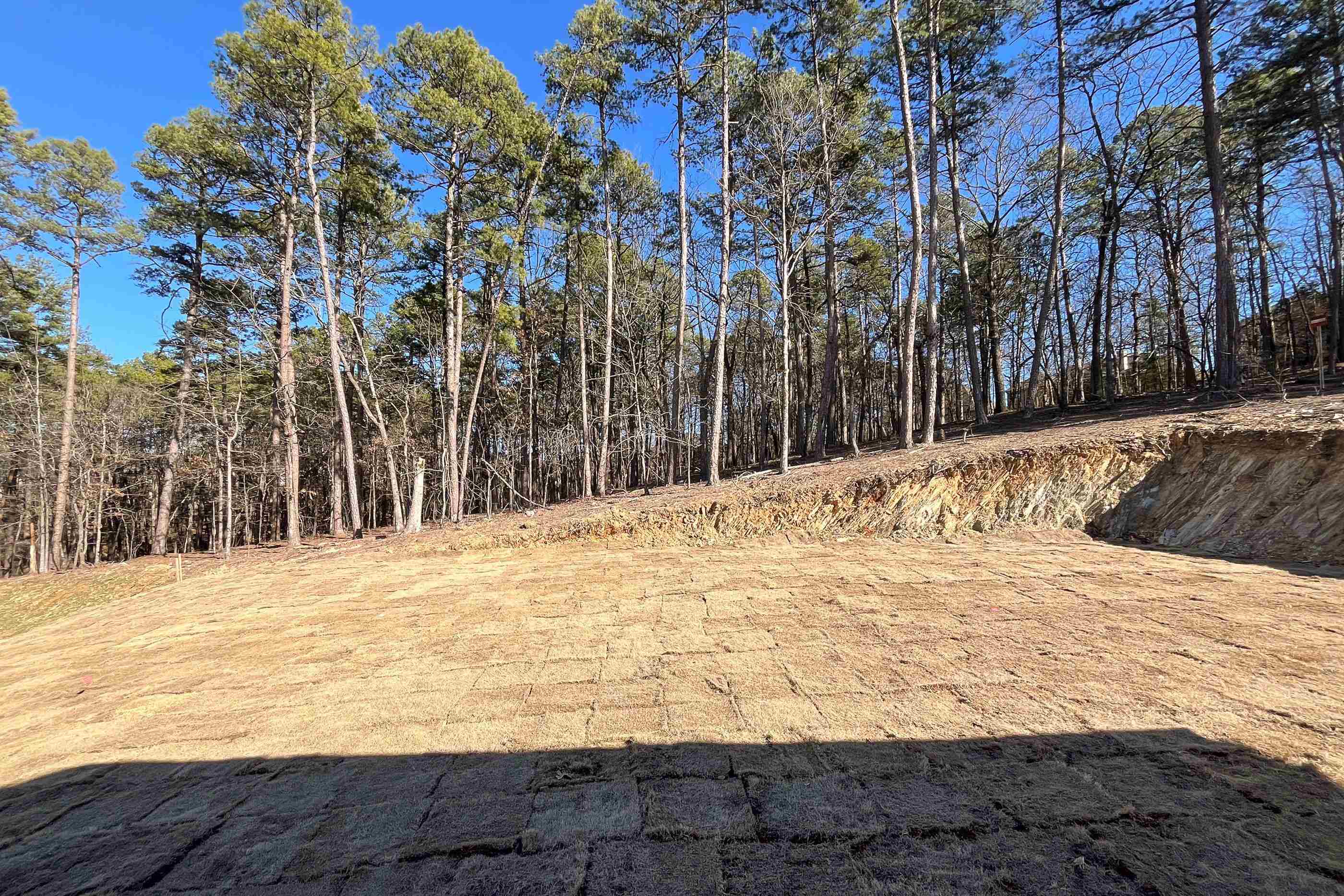 CHENAL VALLEY CALION COURT - Residential