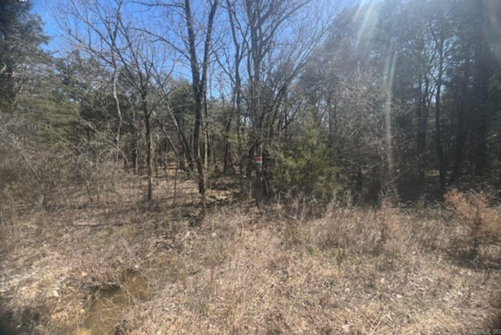 Owner financing available- This 0.30-acre wooded lot is in the perfect location to building your dream home or a beautiful cabin. This is a growing community, so donāt miss out on buying a piece of land to be a part of or an investment to pass down. Take a trip into town where you will have access to the gas stations, stores, restaurants, banks, a clinic, entertainment, and so much more. Or you can head out of town for the day to Mountain Home, AR- 50 Miles or Memphis, TN- 160 Miles. Here is your opportunity to buy a beautiful piece of land in Horseshoe Bend. It is the perfect place to build or use as a vacation spot for yourself or your family. Hold onto for yourself or give it to your kids down the road. This is a lot that everyone can enjoy for years and years to come. Crown Lake is within walking distance, which means you will be close to fishing, swimming, boating, and other water activities. Ownership will come with access to all the Horseshoe Bend amenities, including lakes, golf, and so much more the town has to offer! You can enjoy tennis, shuffleboard, horseshoe pitching, and the playground.