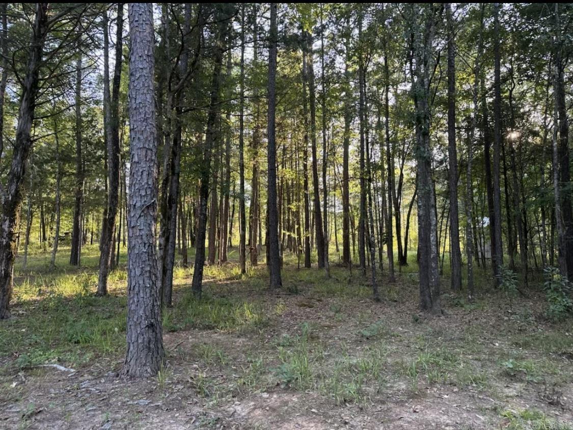 MIDDLE FORK ACRES - Land