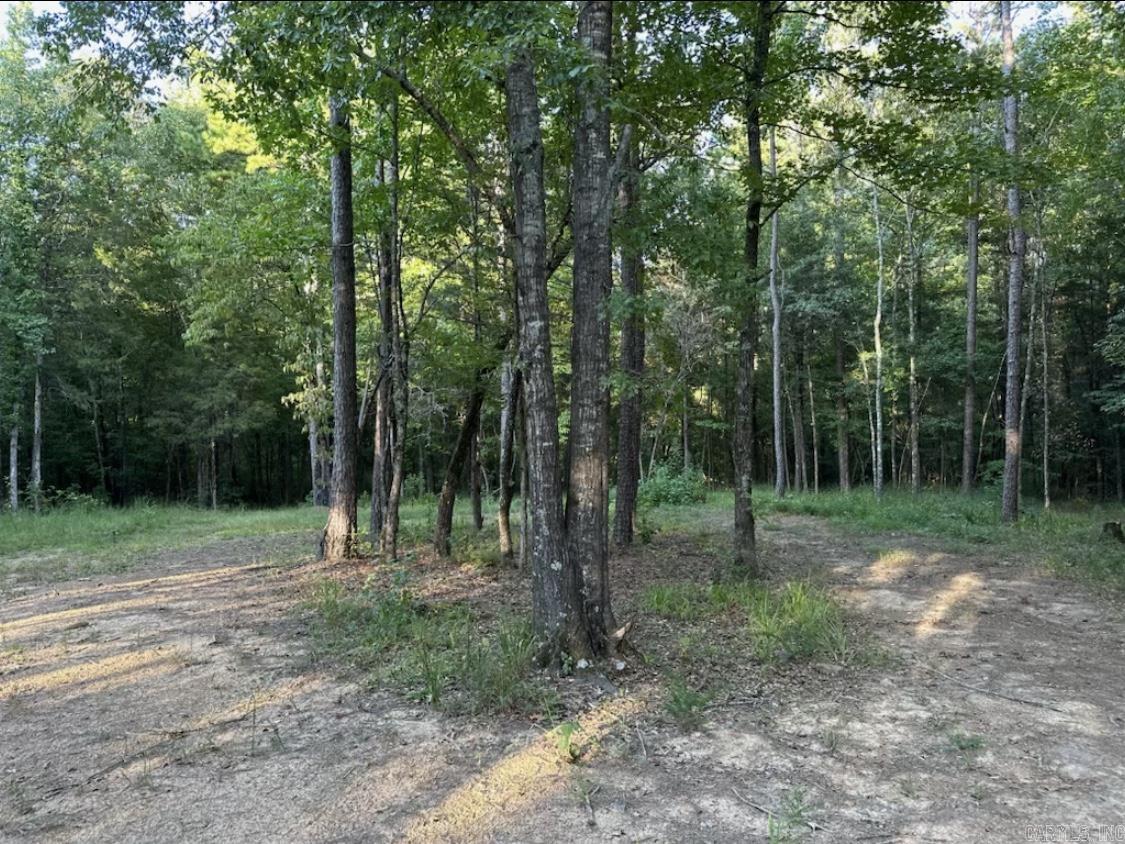 MIDDLE FORK ACRES - Land