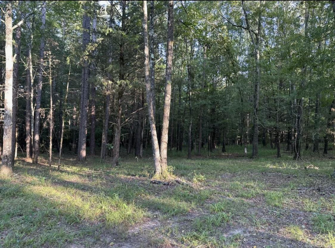 MIDDLE FORK ACRES - Land