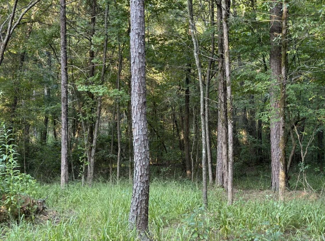 MIDDLE FORK ACRES - Land