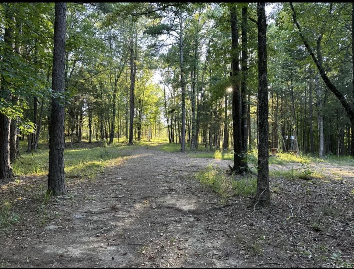 MIDDLE FORK ACRES - Land