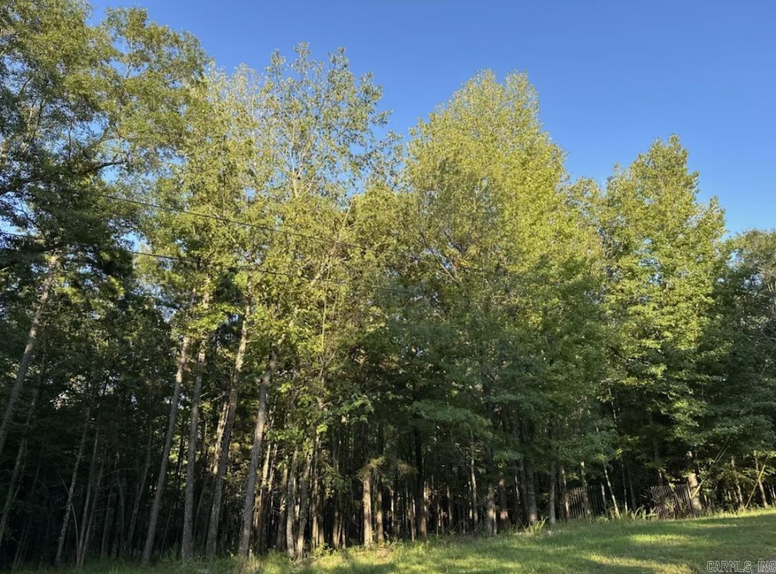 MIDDLE FORK ACRES - Land