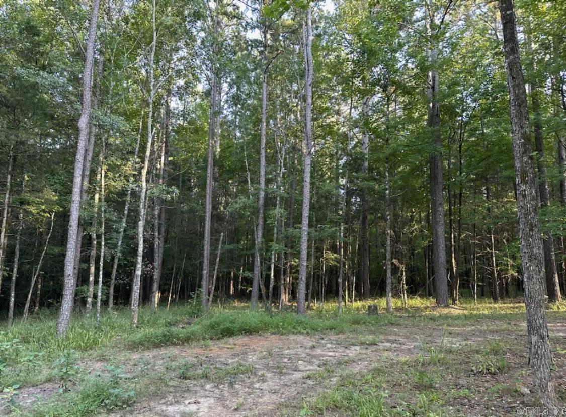 MIDDLE FORK ACRES - Land