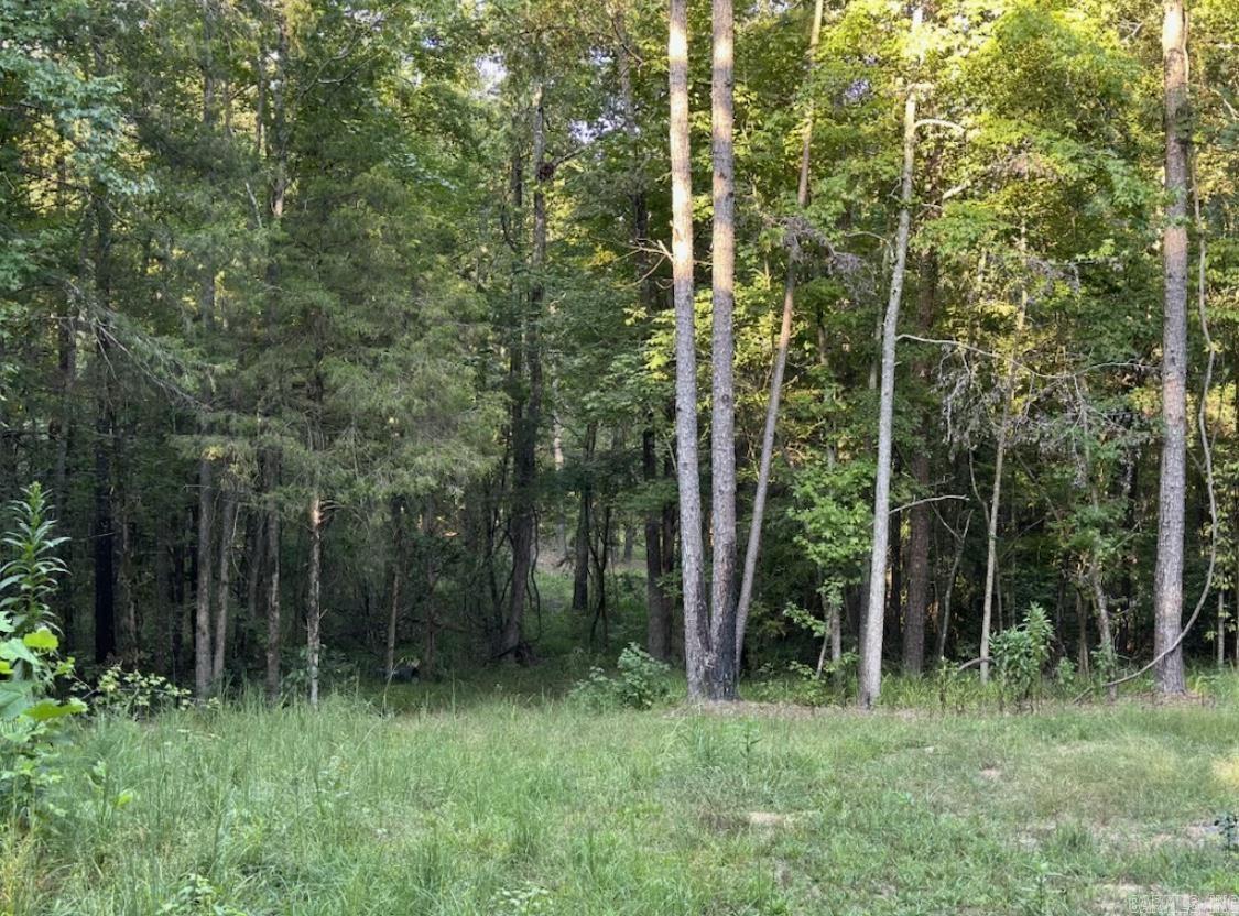 MIDDLE FORK ACRES - Land