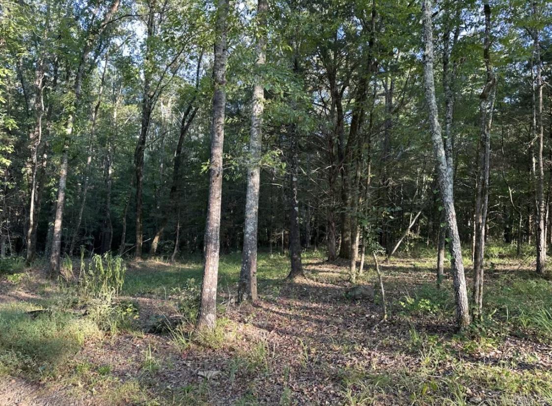 MIDDLE FORK ACRES - Land