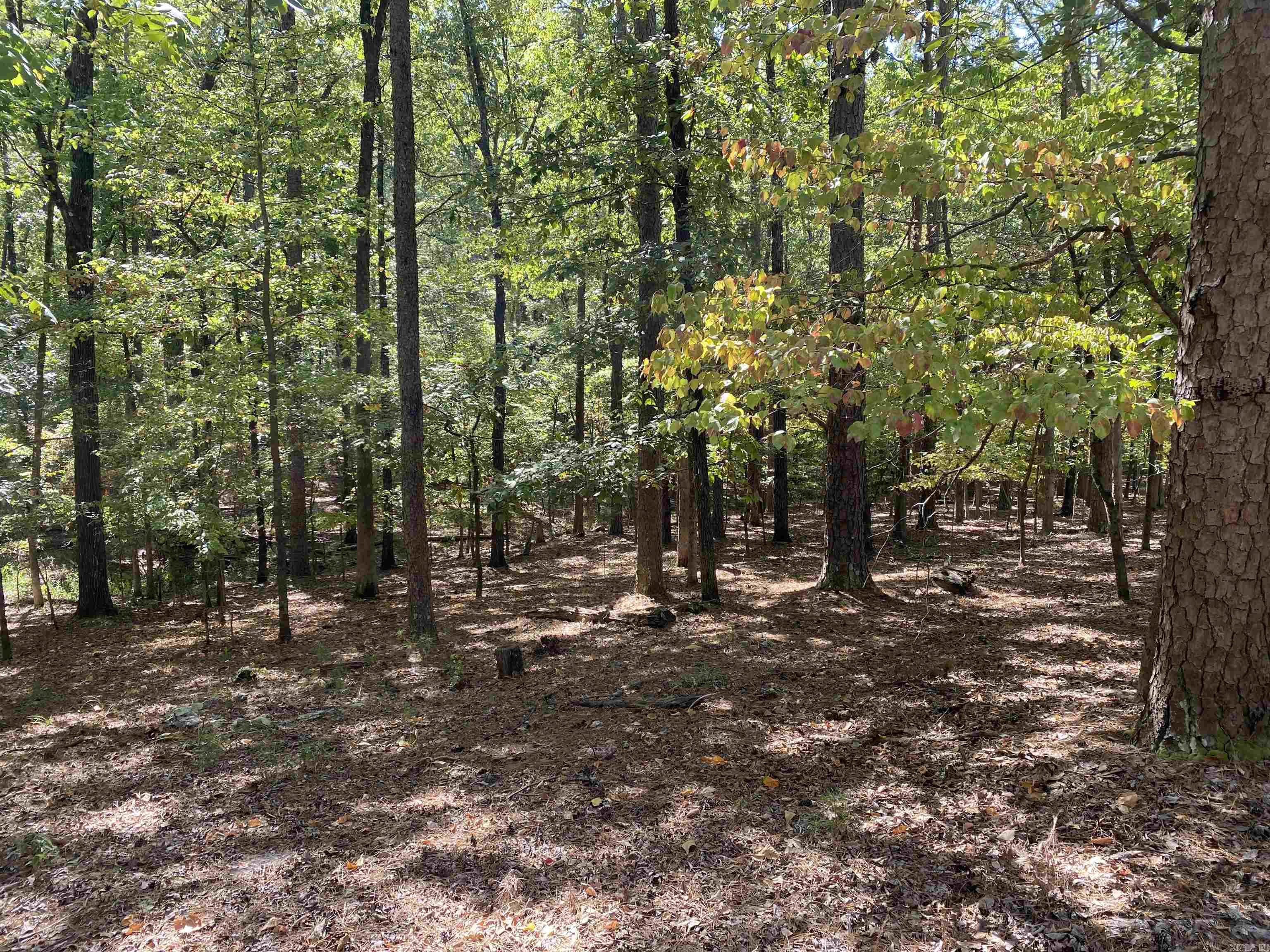 Hickory Nut Mountain Estates - Residential