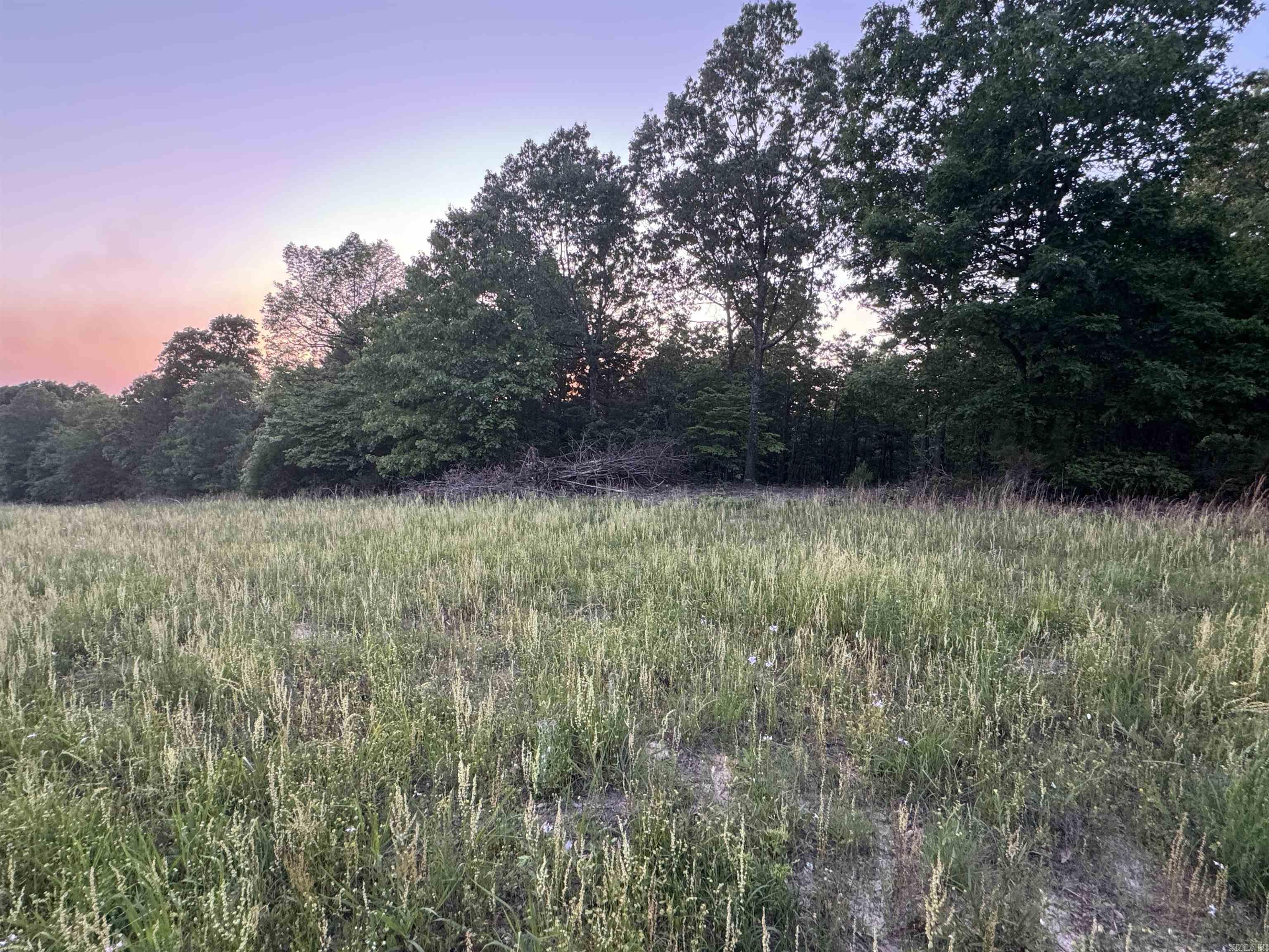 34.58 Acre Recreational, Hunting, and Building Land Whether you're seeking a recreational retreat, a hunting haven, or the perfect place to build your forever home, this 34.58-acre property with highway frontage. There is a 12X24 utility building that sits on the property. Turn this into your tiny home or even a hunting cabin. With its prime location, electricity and water, and unparalleled views of the Ozarks, it's a rare find that won't stay on the market for long. Seize the opportunity to make this piece of paradise your own and start living the lifestyle you've always dreamed of. Listed for $129,900! Contact us today to schedule a viewing today!