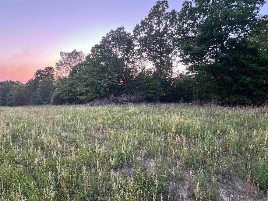 34.58 Acre Recreational, Hunting, and Building Land   Whether you're seeking a recreational retreat, a hunting haven, or the perfect place to build your forever home, this 34.58-acre property with highway frontage. There is a 12X24 utility building that sits on the property. Turn this into your tiny home or even a hunting cabin.    With its prime location, electricity and water, and unparalleled views of the Ozarks, it's a rare find that won't stay on the market for long.   Seize the opportunity to make this piece of paradise your own and start living the lifestyle you've always dreamed of. Listed for $129,900! Contact us today to schedule a viewing today!