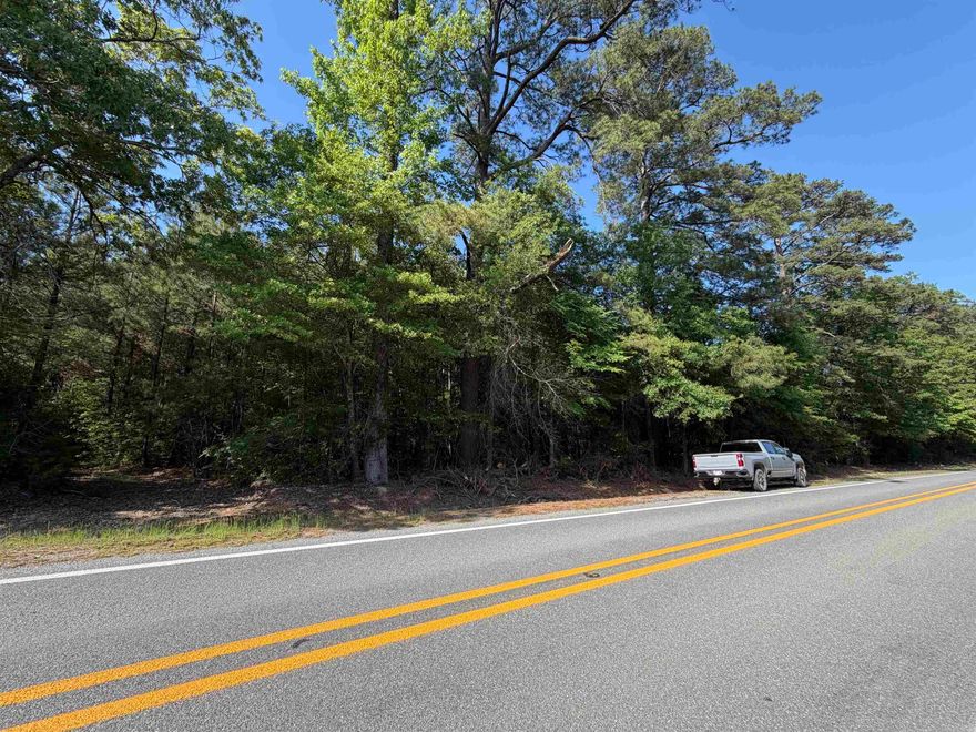 52.52 Acres +/- with Hwy 160 frontage. This well-managed 20-year-old pine plantation offers strong timber potential and is set up for both recreation and investment. Two creek systems provide excellent natural drainage, and established hunting lanes/trails are already in place for immediate use. There’s also great potential to clear a homesite, making it a versatile tract for building, hunting, or long-term value.