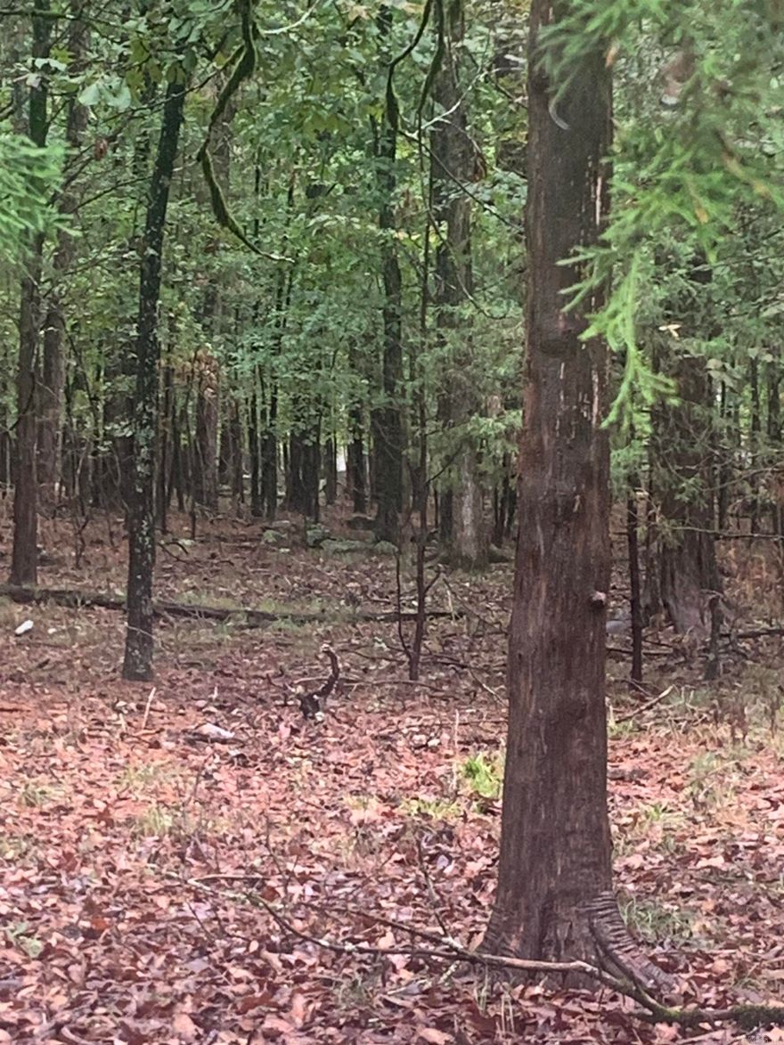 Come and relax on this Beautiful wooded lot in Tannenbaum.  Close to golfing, boating, fishing…. Lot backs the Tannenbaum Park & Recreation Area, and Tannenbaum Lodge House.