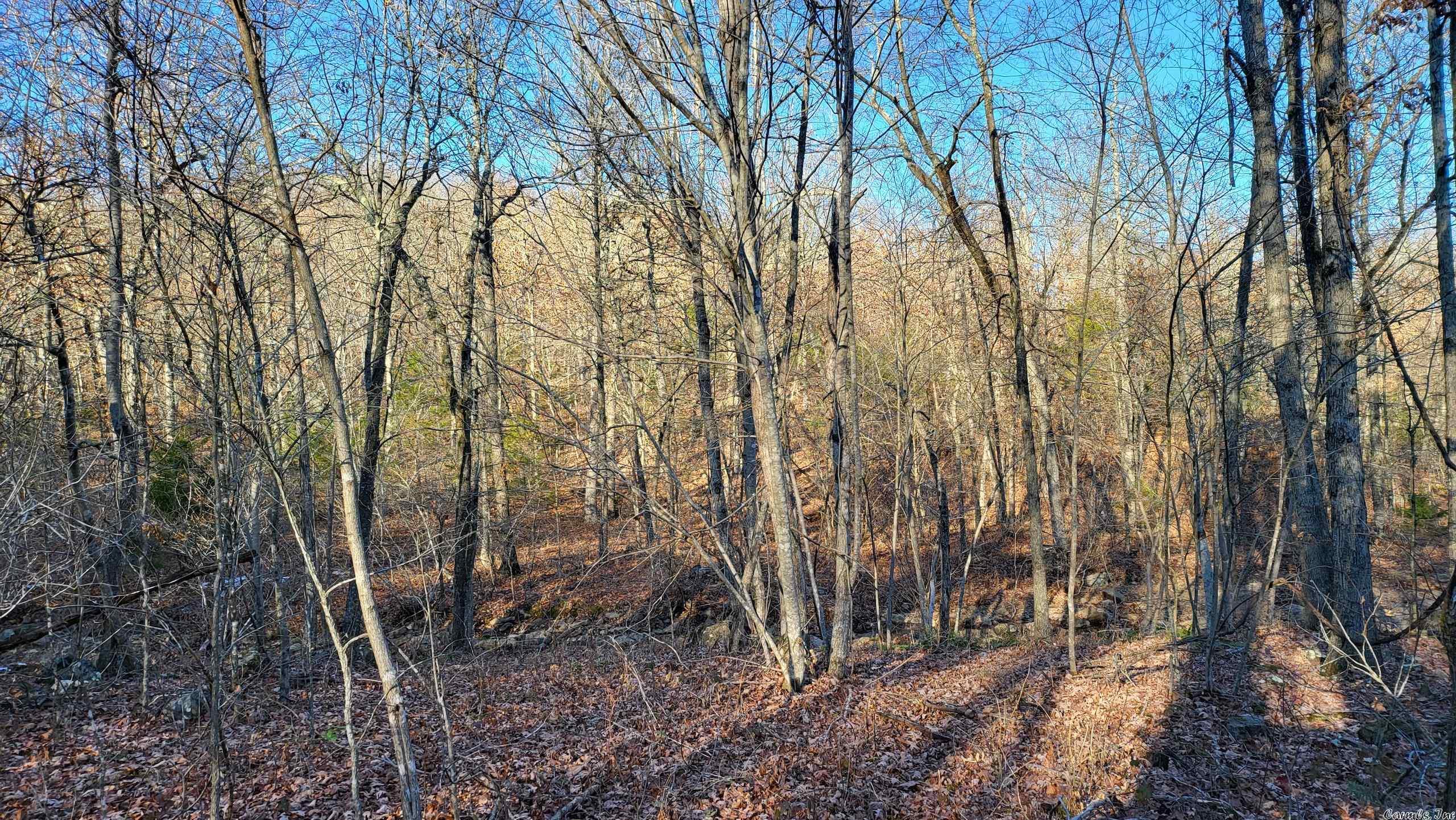 Not in Subdivision - Land