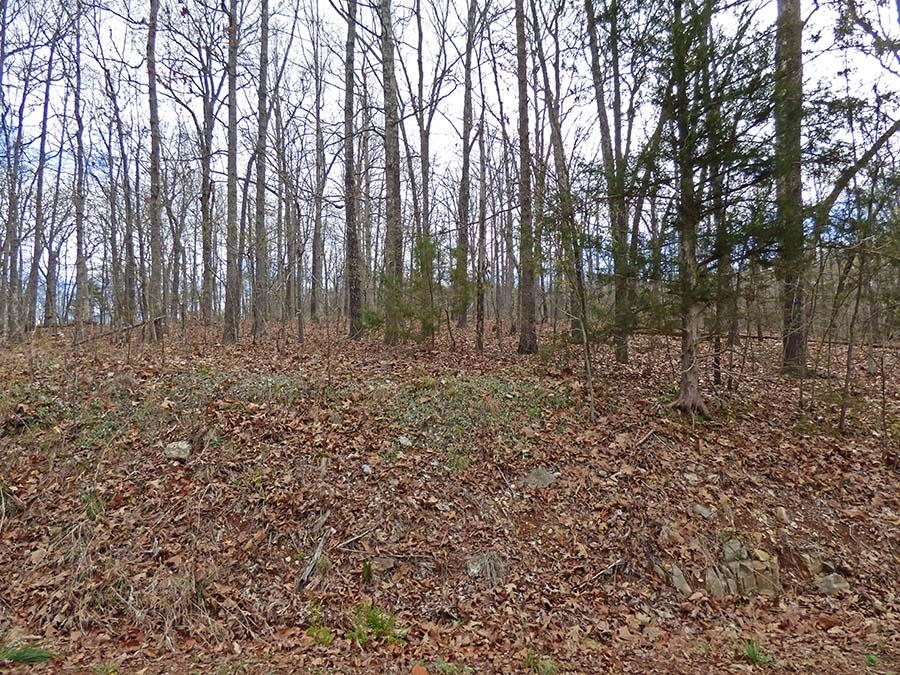 Thunderbird 3rd - Land