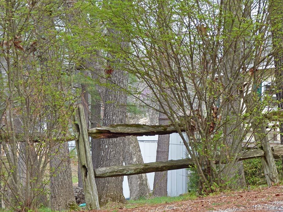 Thunderbird 3rd - Land