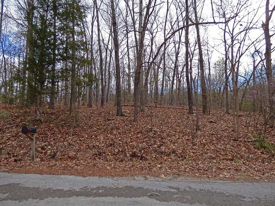 Undeveloped residential lot with a seasonal view of Lake Thunderbird. Wooded lot across the road from Lake Thunderbird. Ownership gives you access to all of the Cherokee Village amenities; 7 lakes and 2 great rivers for fishing, boating, canoeing/kayaking, and swimming, 2 championship golf courses, several nature walking trails, recreation centers, numerous parks, near historic downtown Hardy.