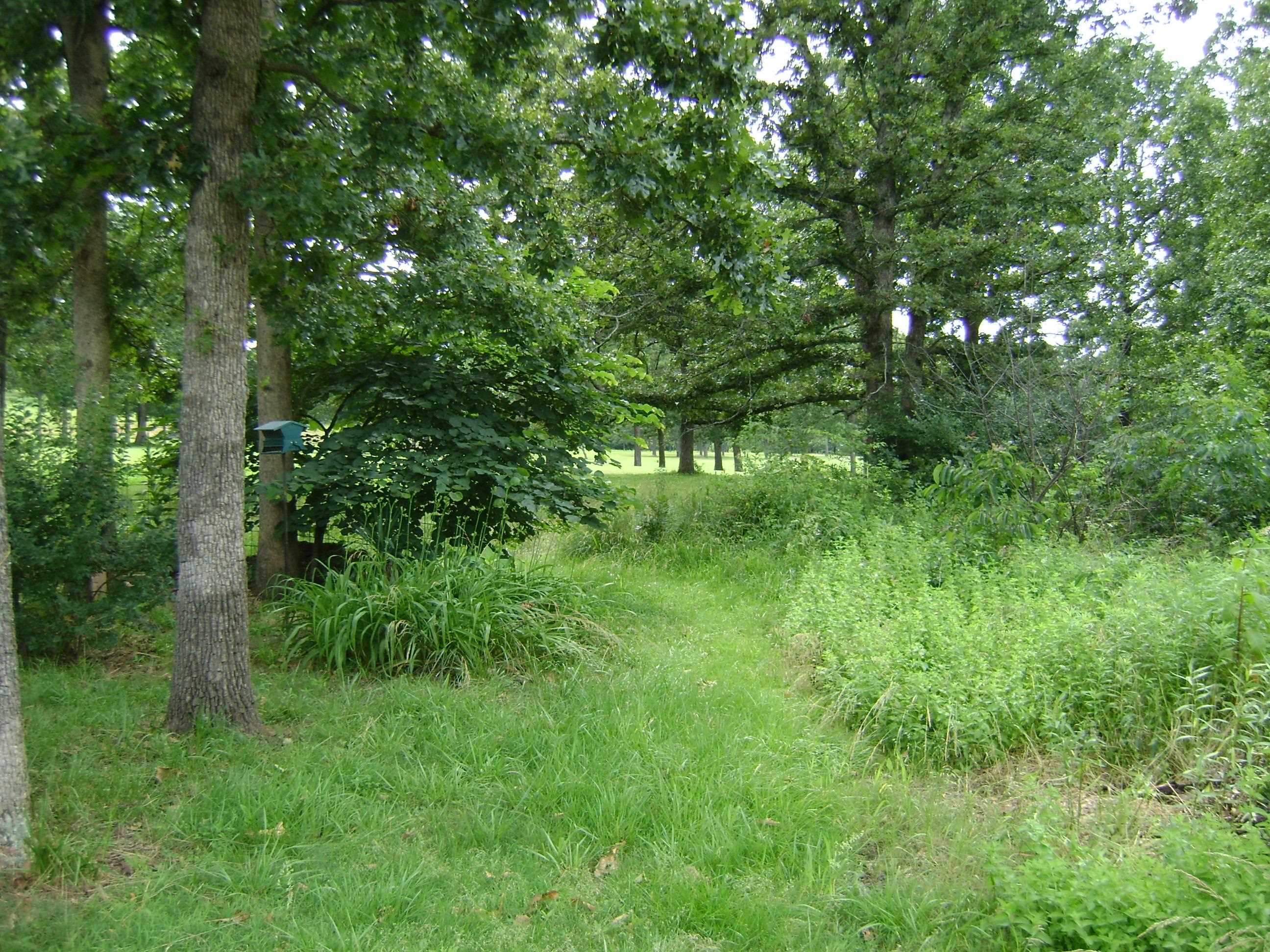 Fairway - Residential