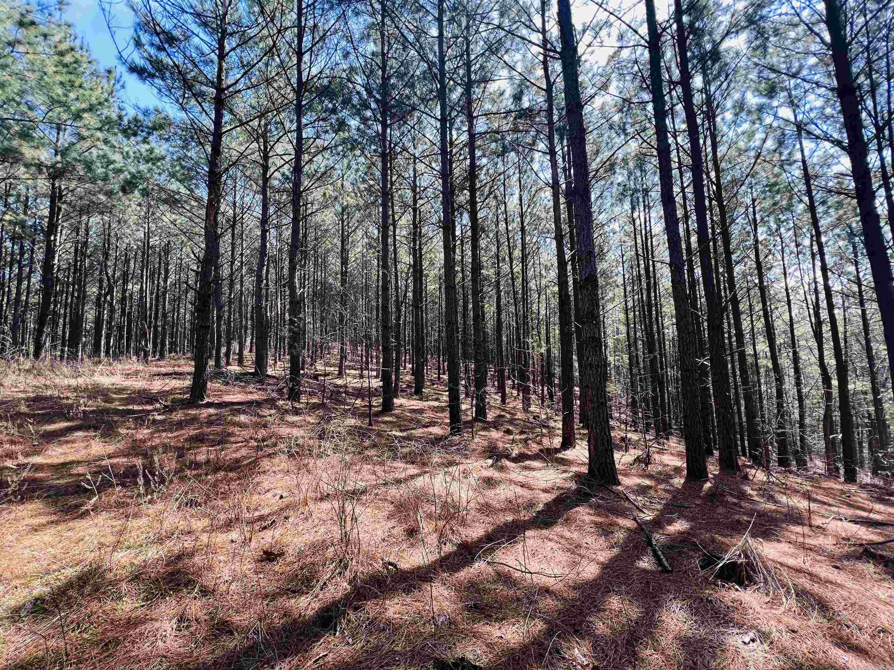 Not in Subdivision - Land