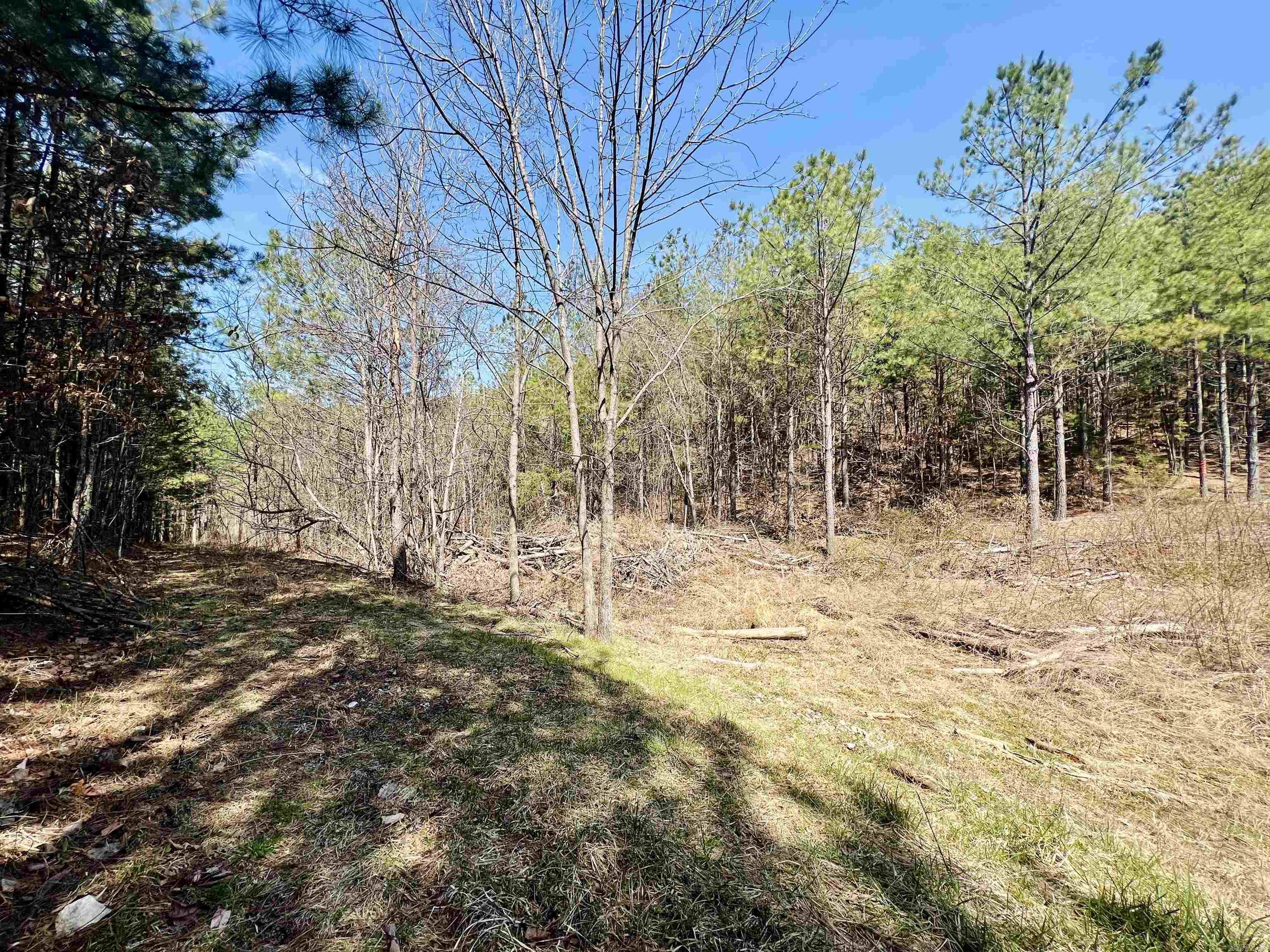 Not in Subdivision - Land