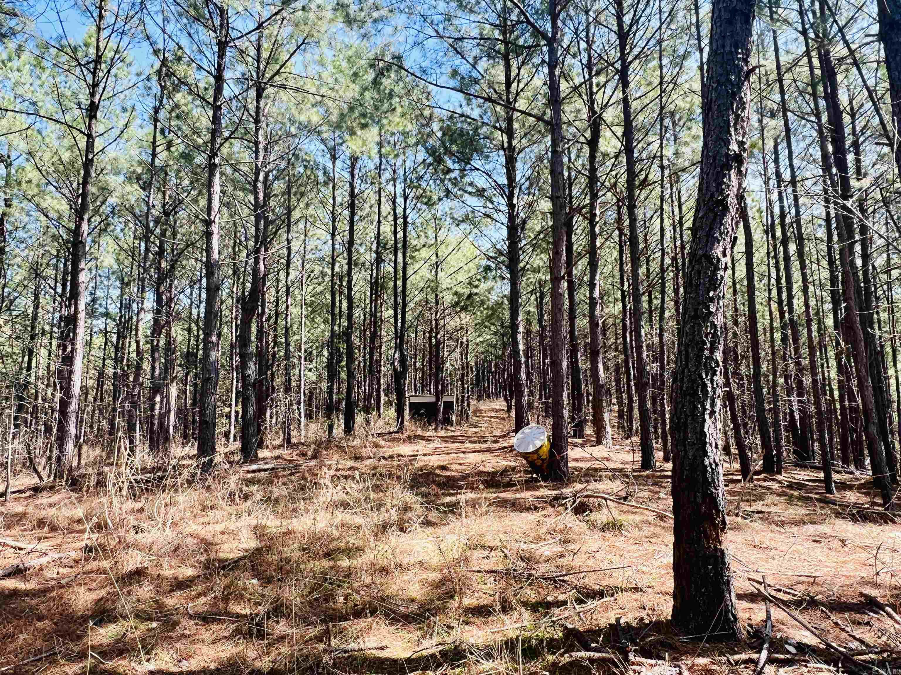 Not in Subdivision - Land