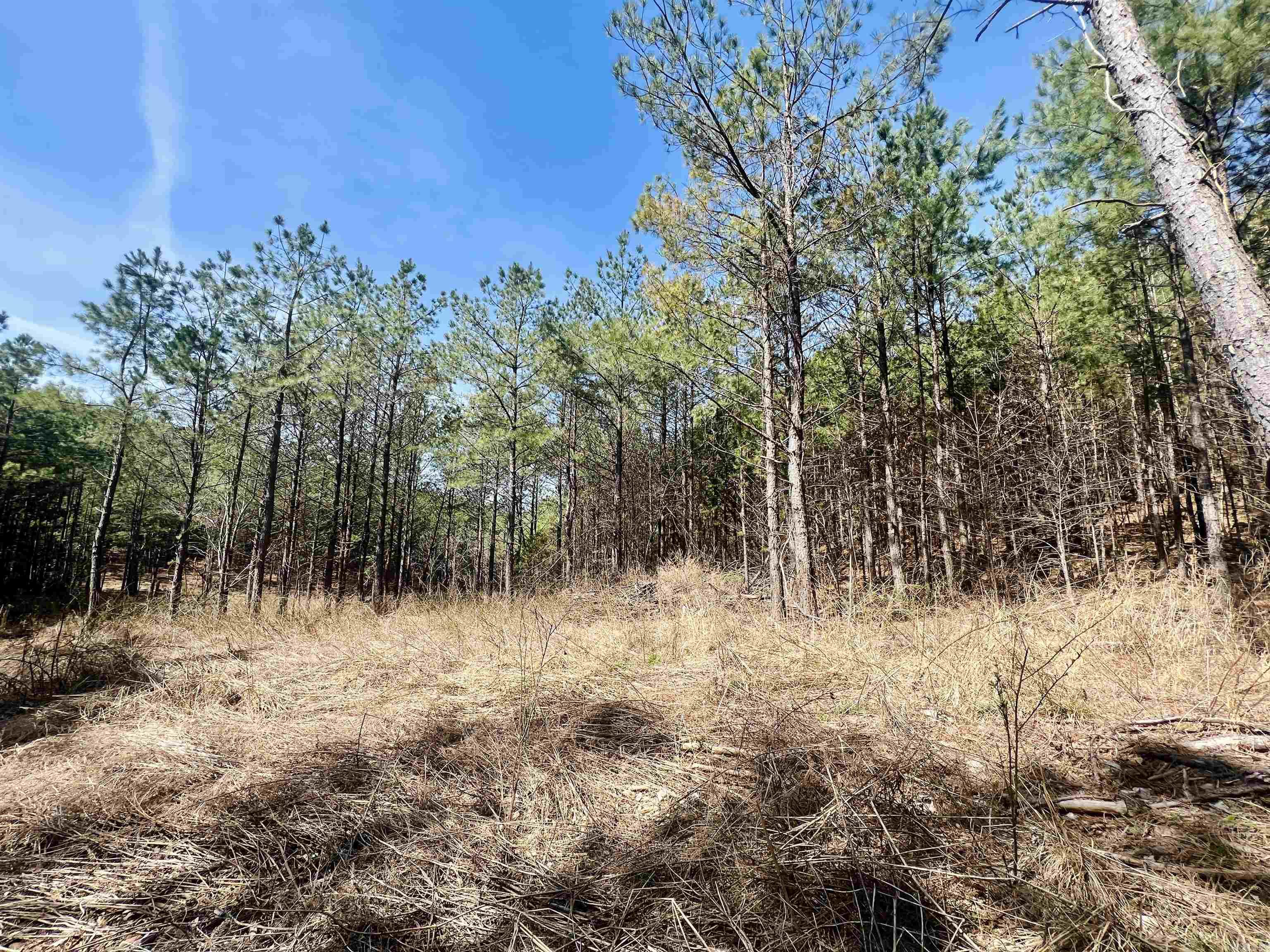 Not in Subdivision - Land