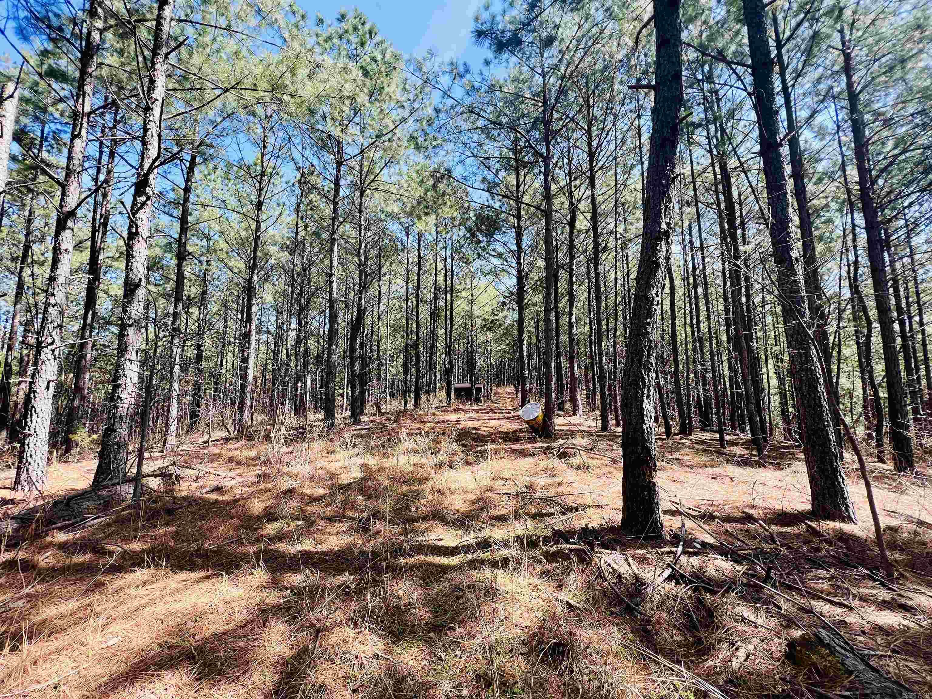 Not in Subdivision - Land