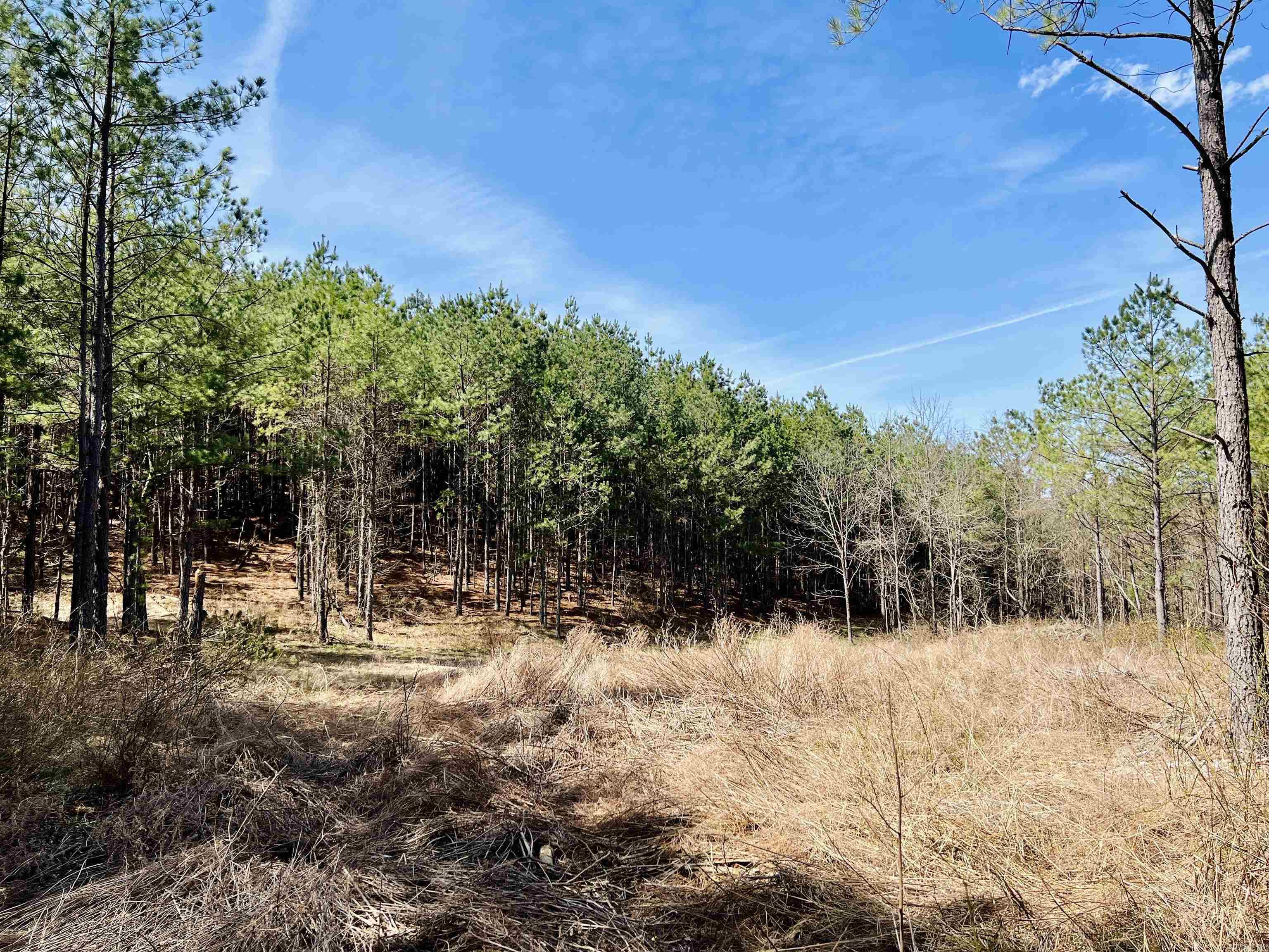 Not in Subdivision - Land