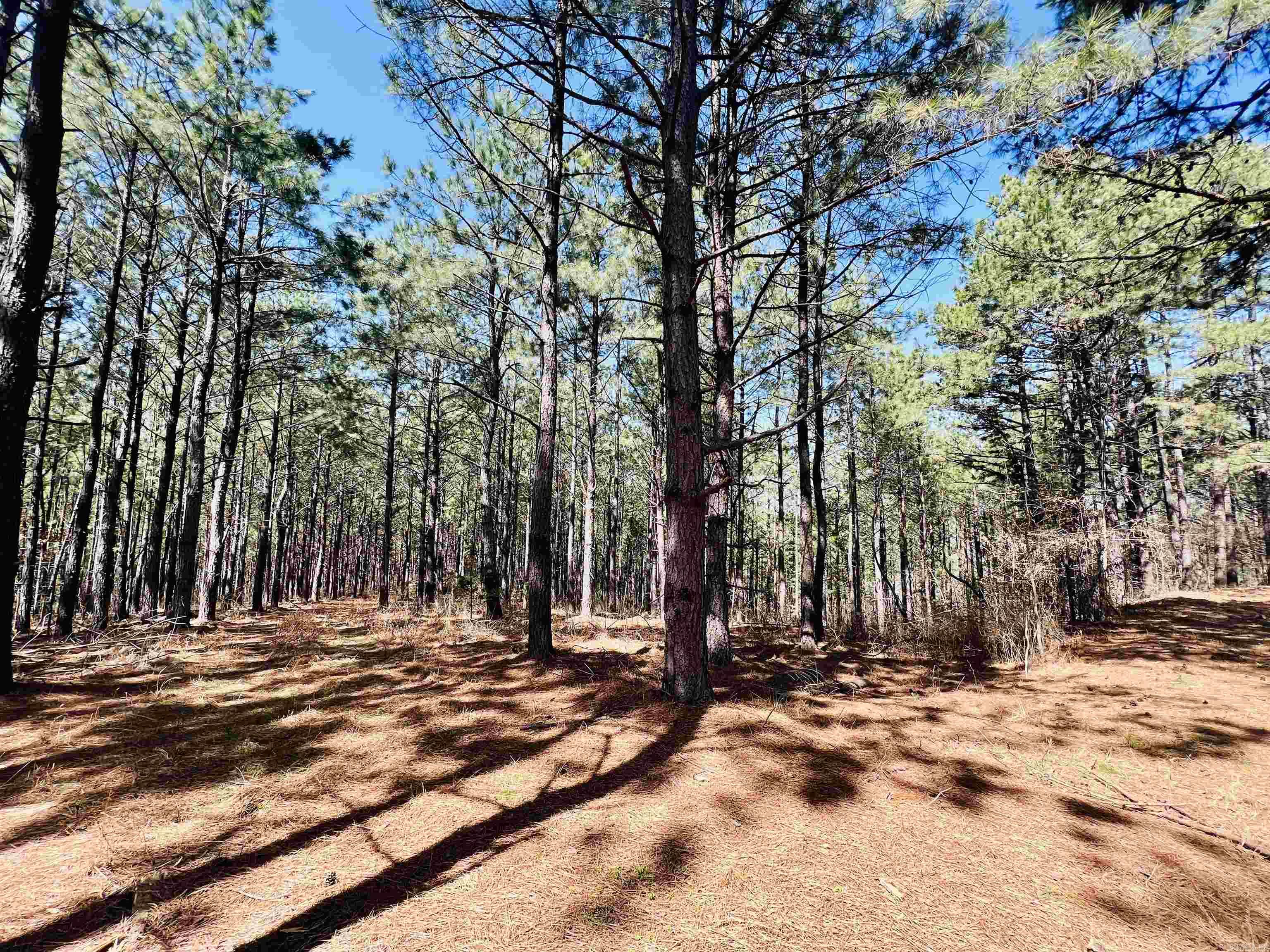 Not in Subdivision - Land