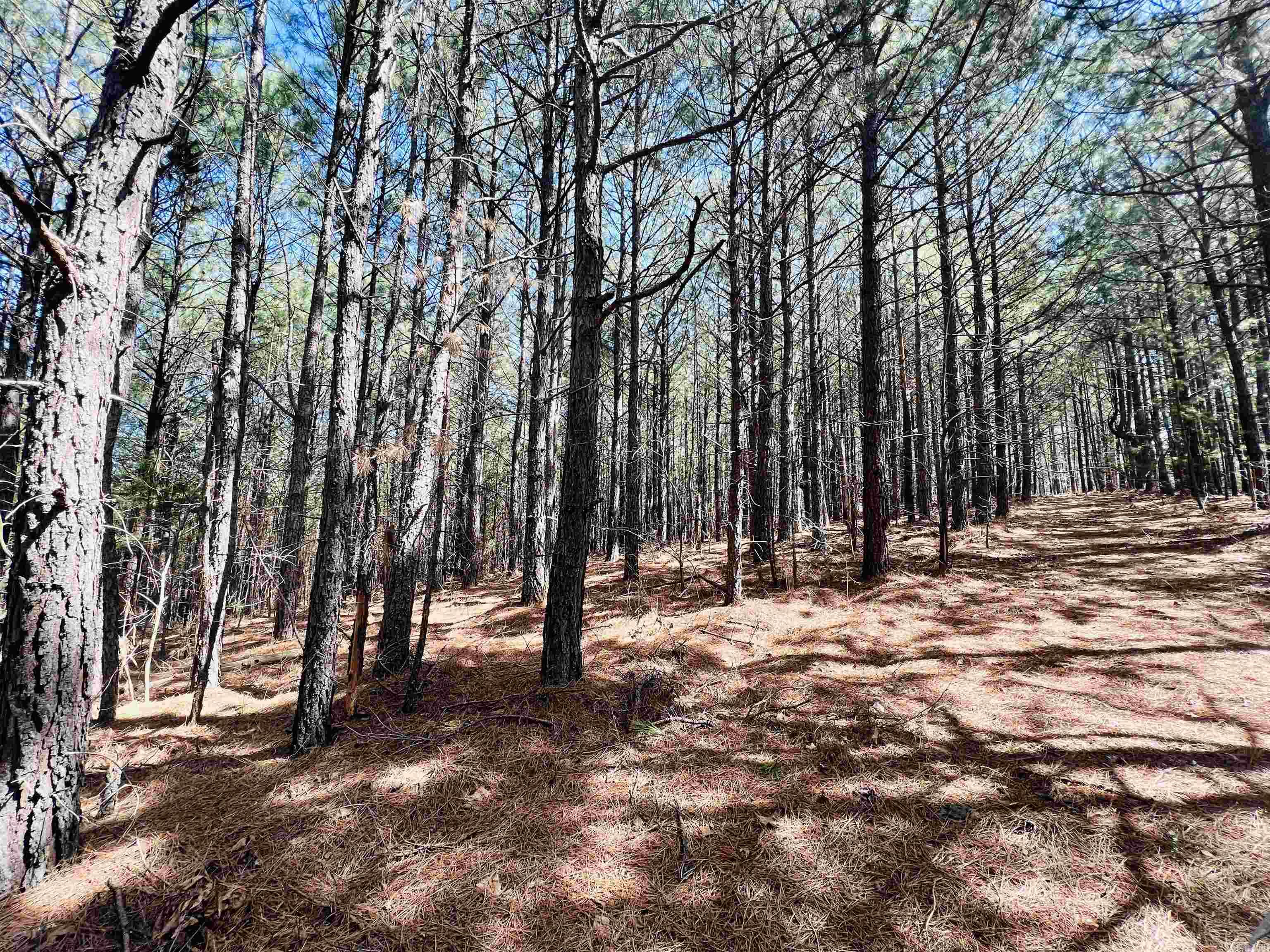 Not in Subdivision - Land