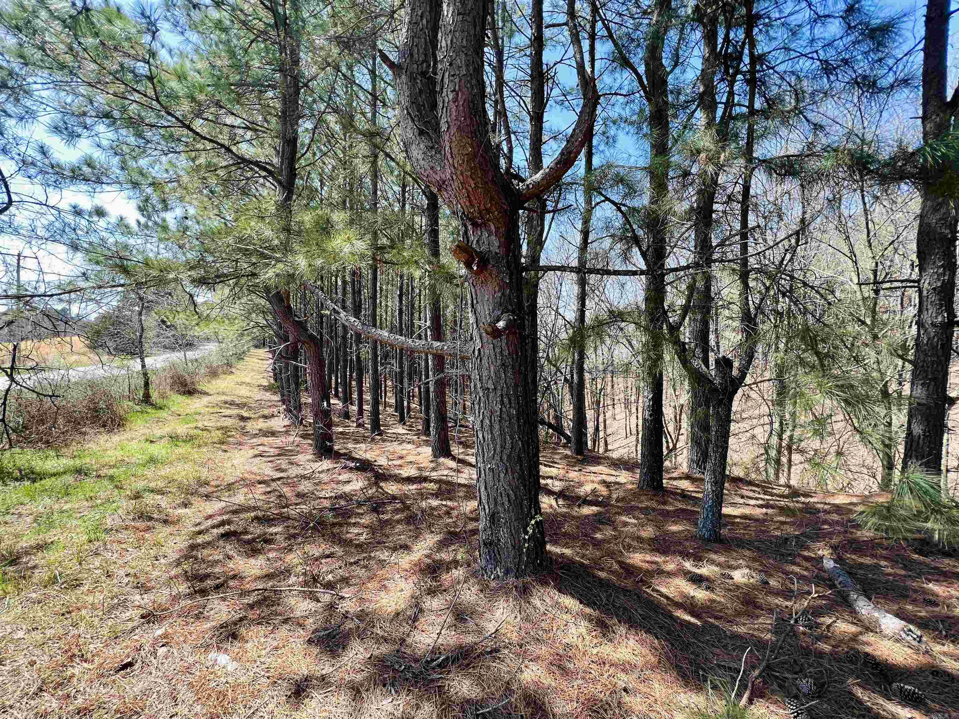 Not in Subdivision - Land