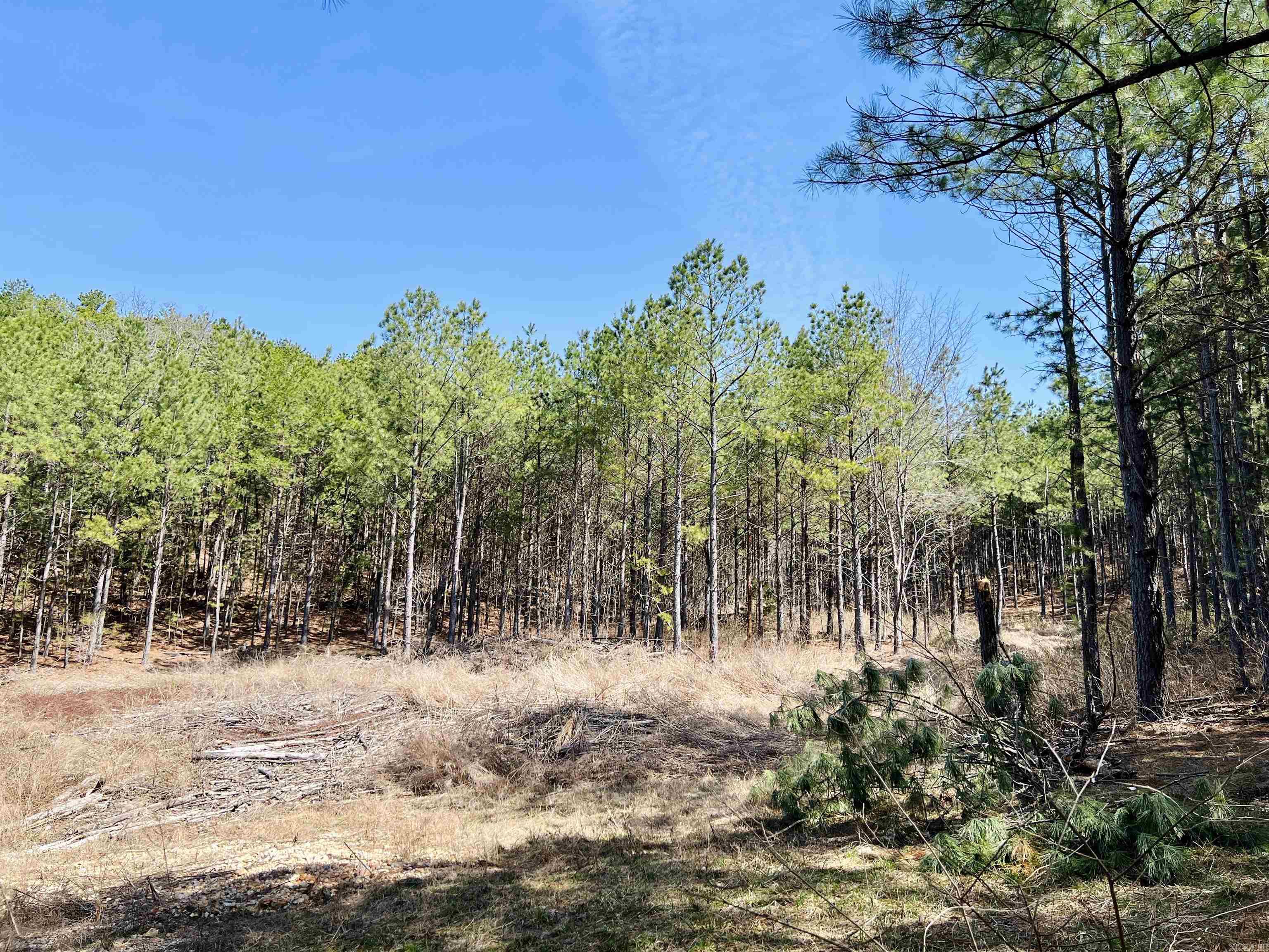 Not in Subdivision - Land