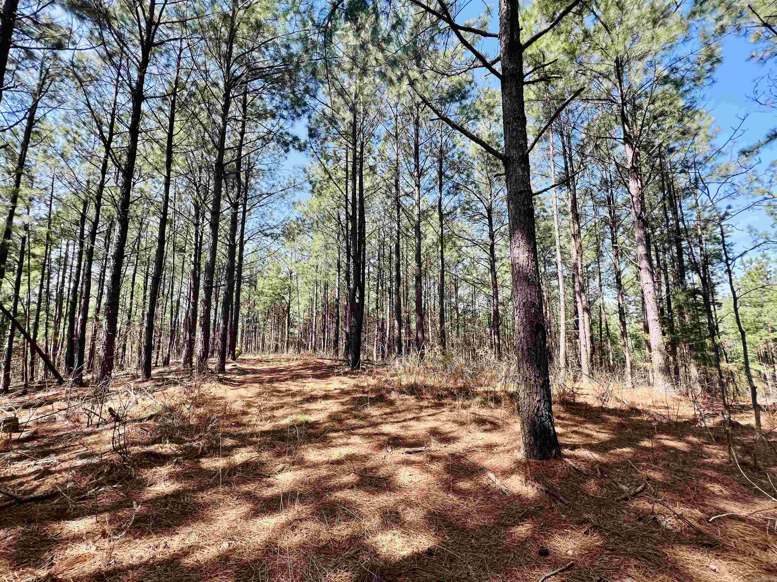 Not in Subdivision - Land