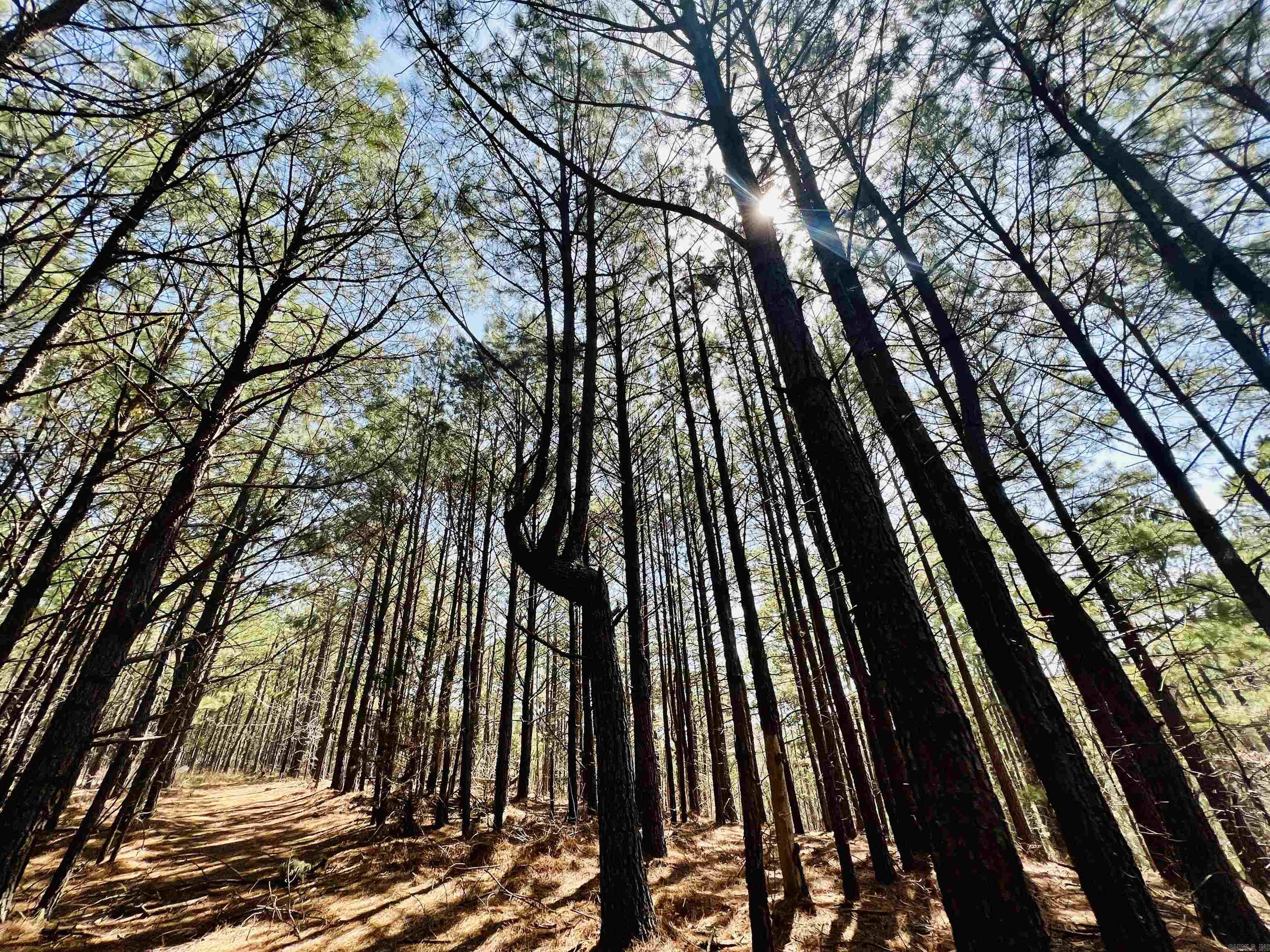 Not in Subdivision - Land