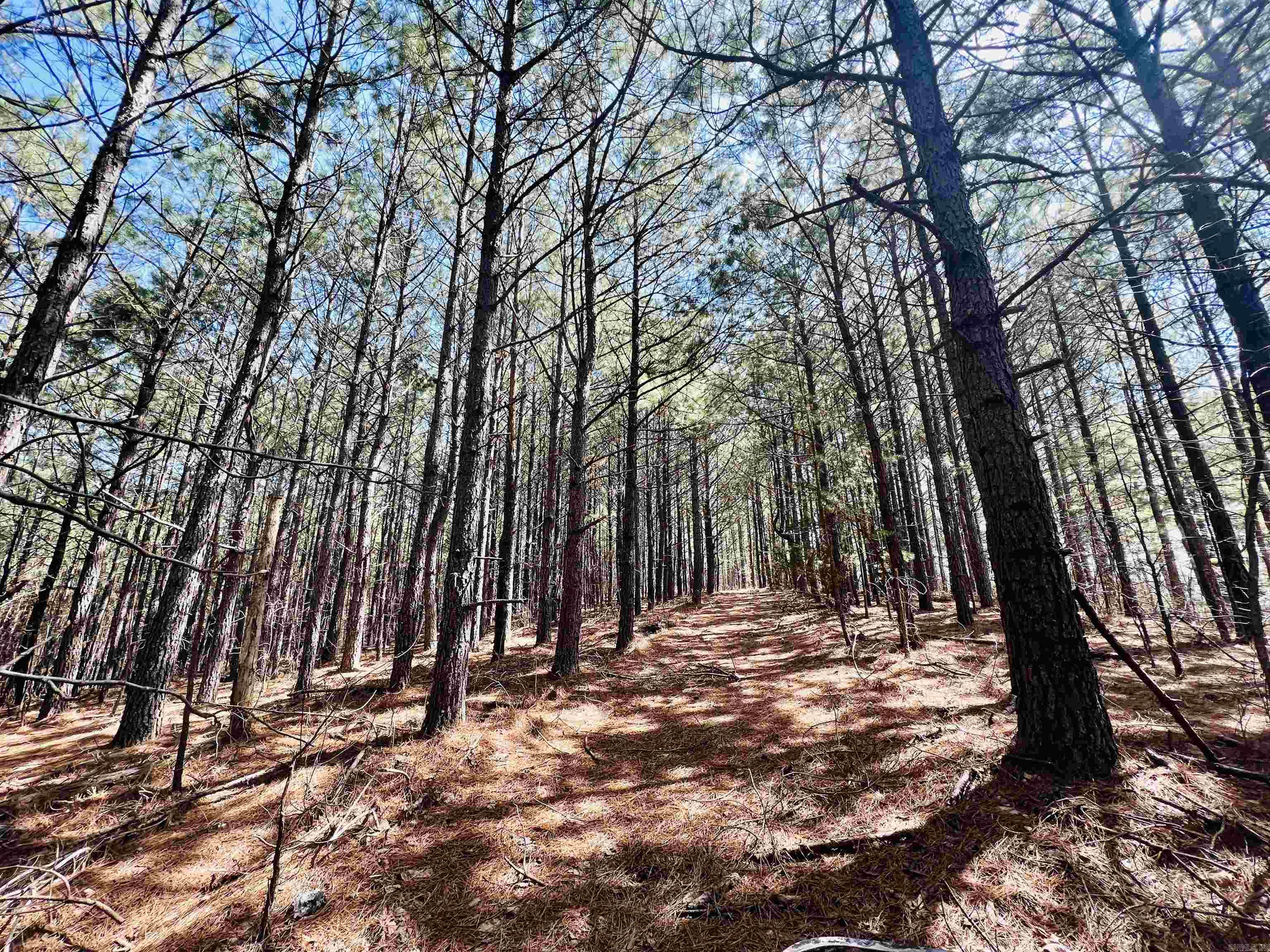 Not in Subdivision - Land