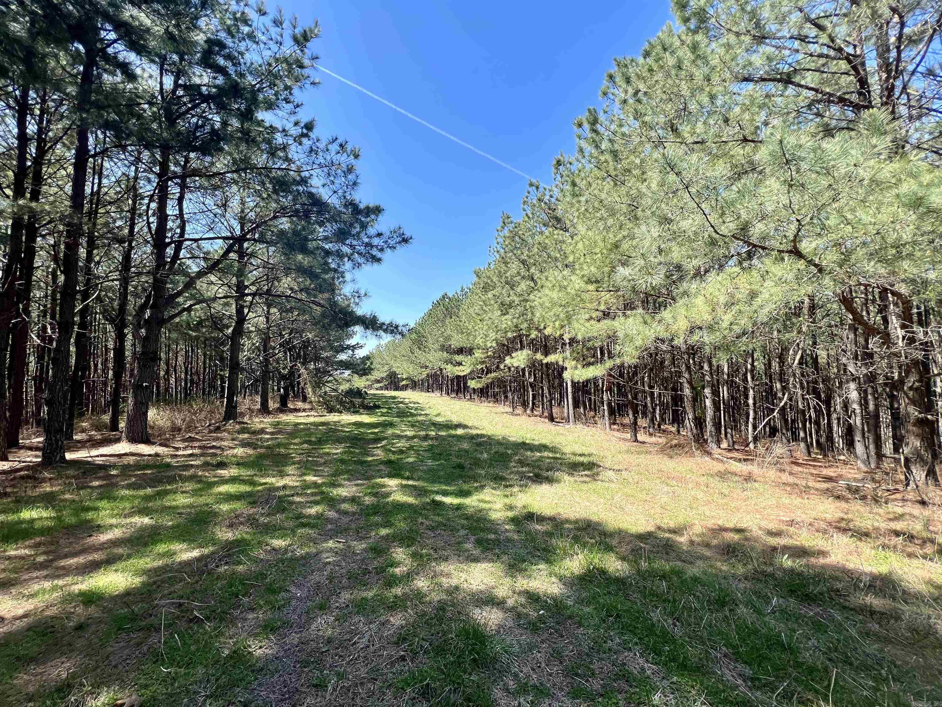 Not in Subdivision - Land