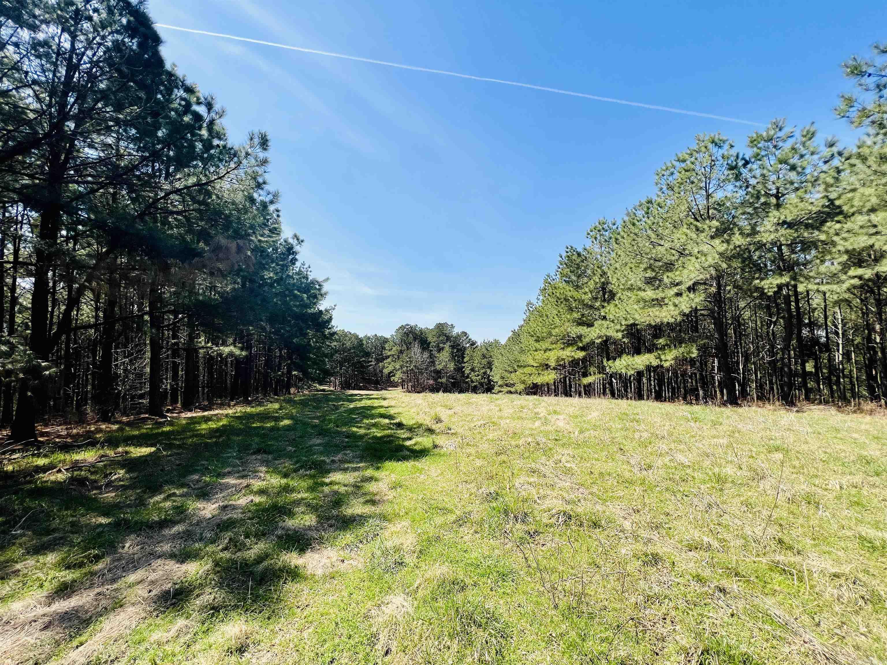 Not in Subdivision - Land