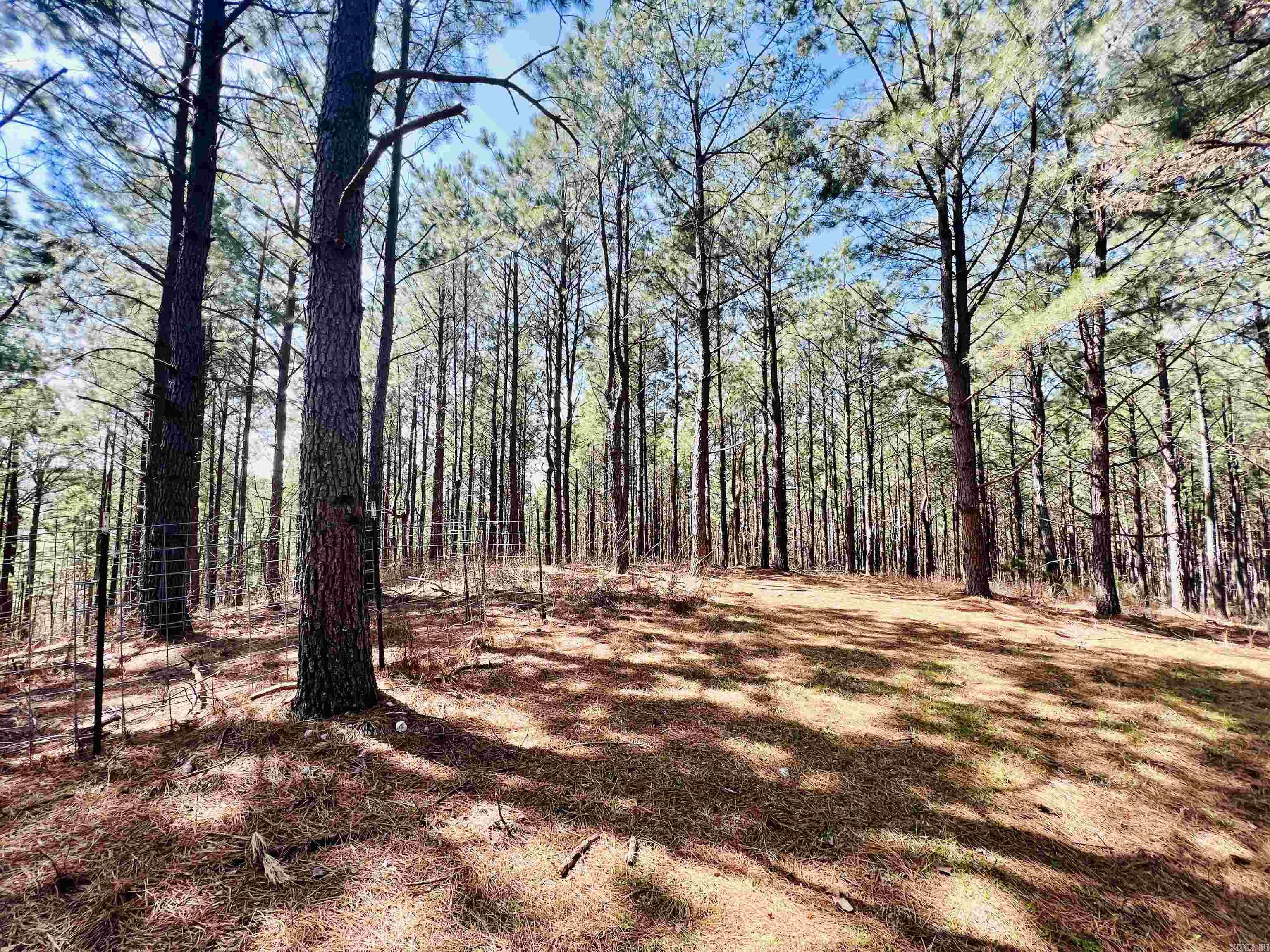 Not in Subdivision - Land