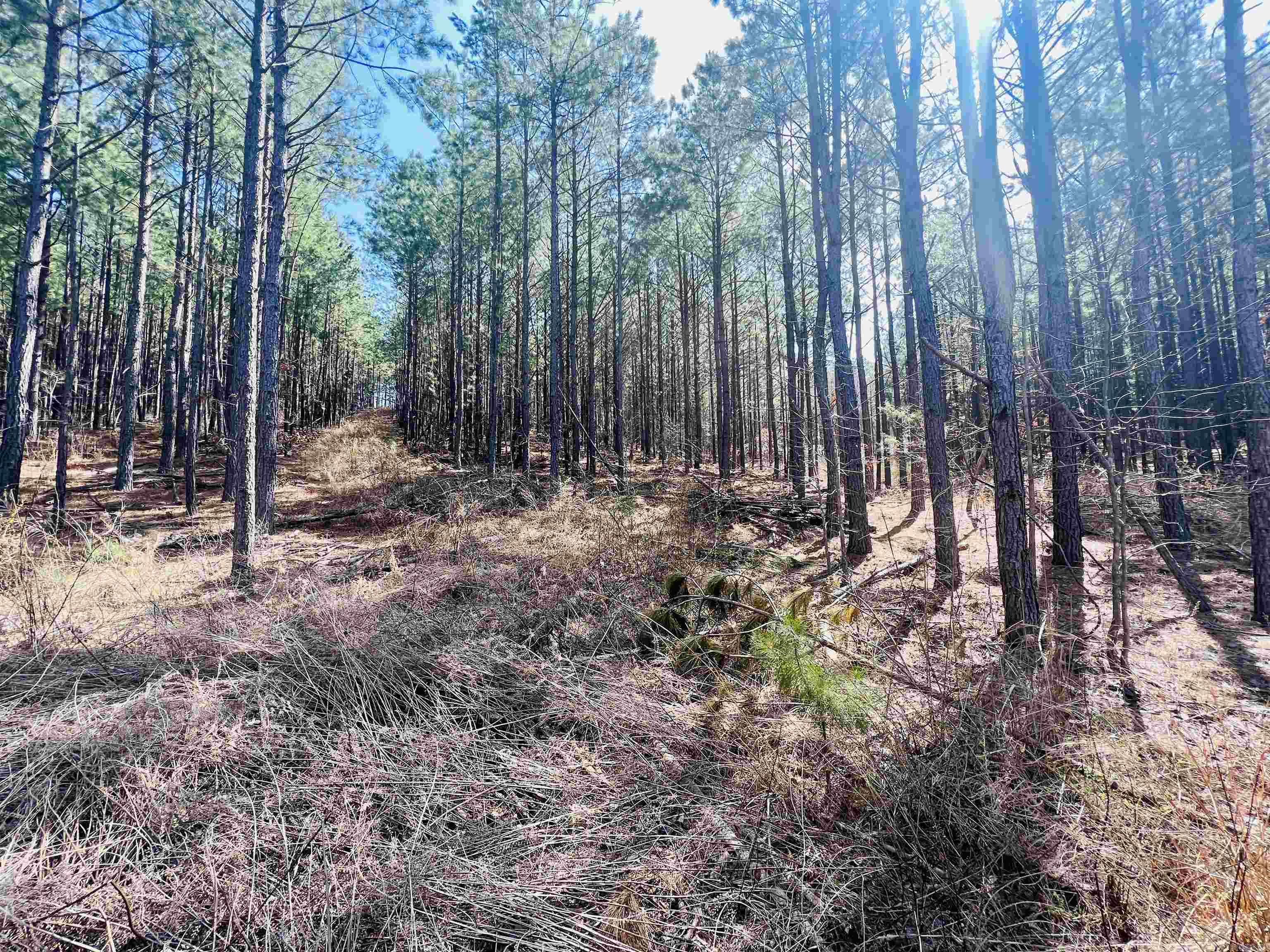 Not in Subdivision - Land